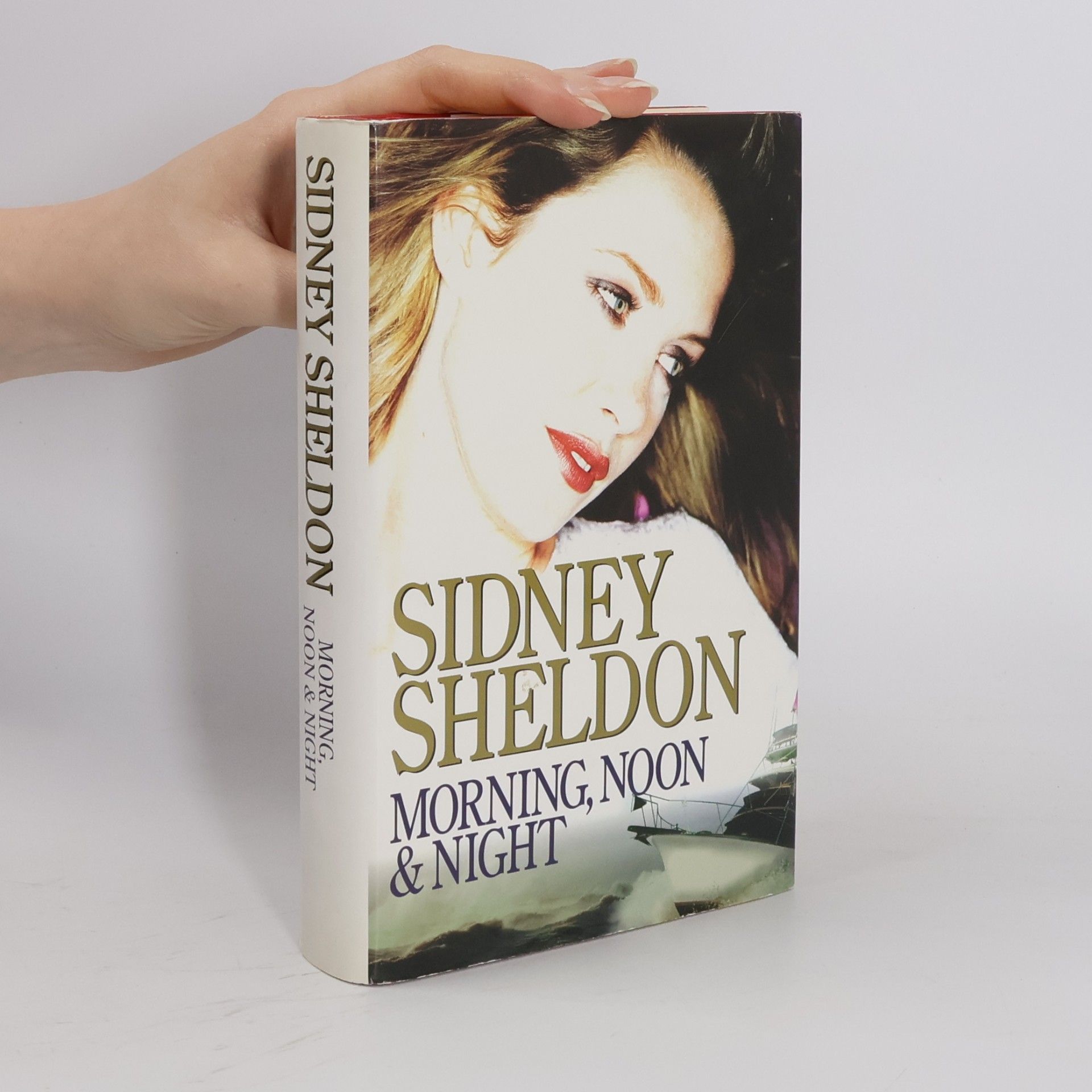 Sidney Sheldon Morning Noon & Night