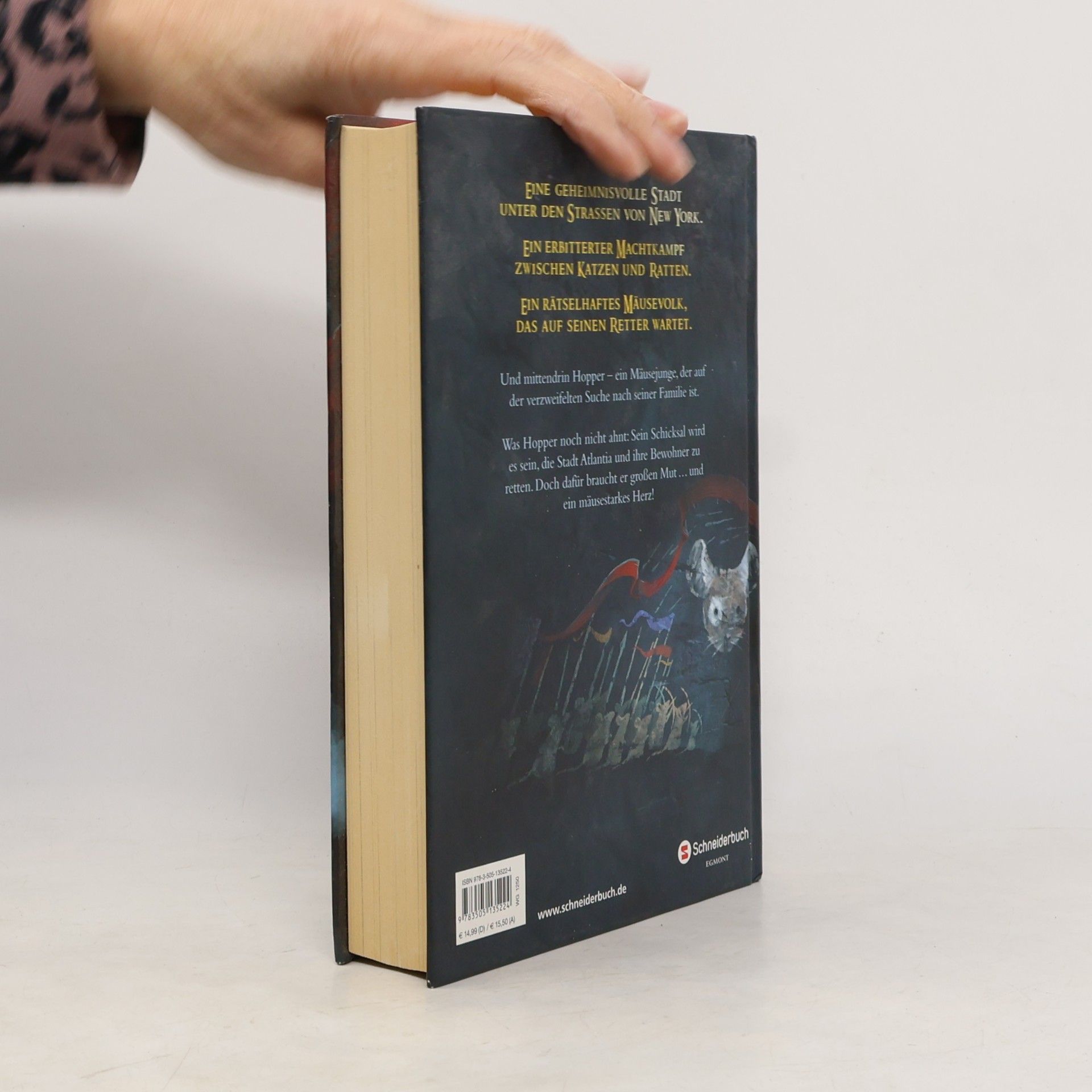 Lisa Fiedler Mouseheart: Die Prophezeiung der Mäuse