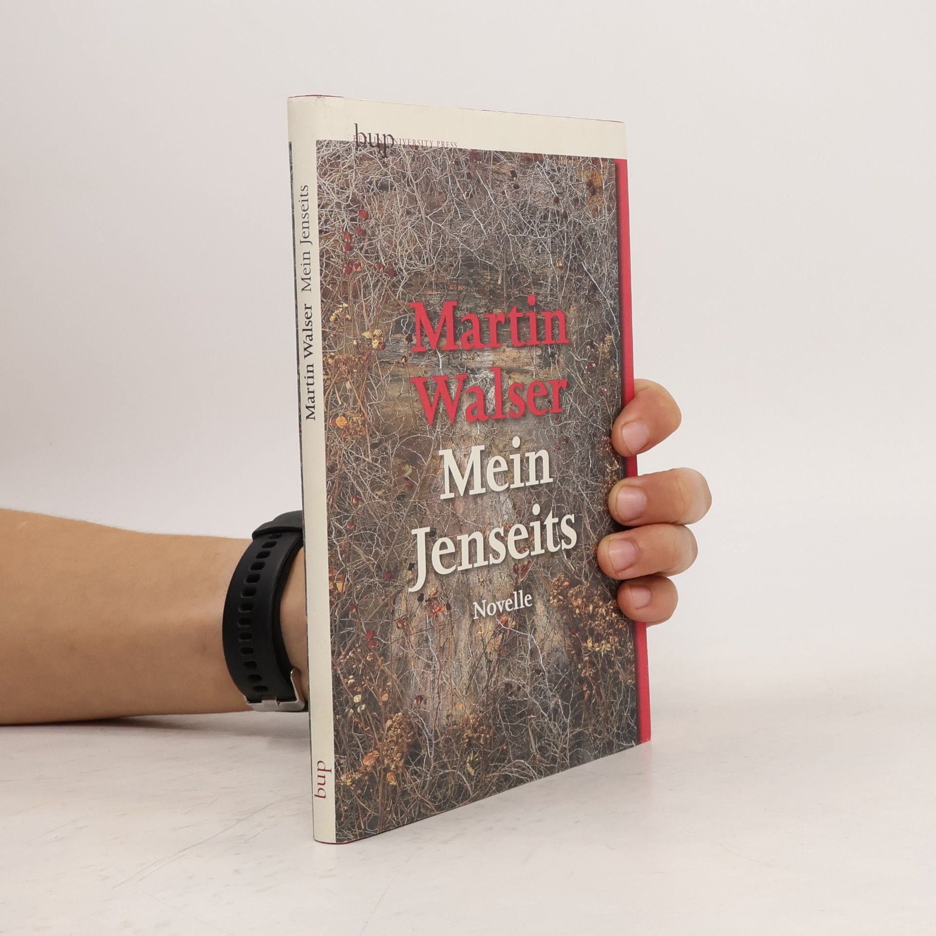 Martin Walser Mein Jenseits