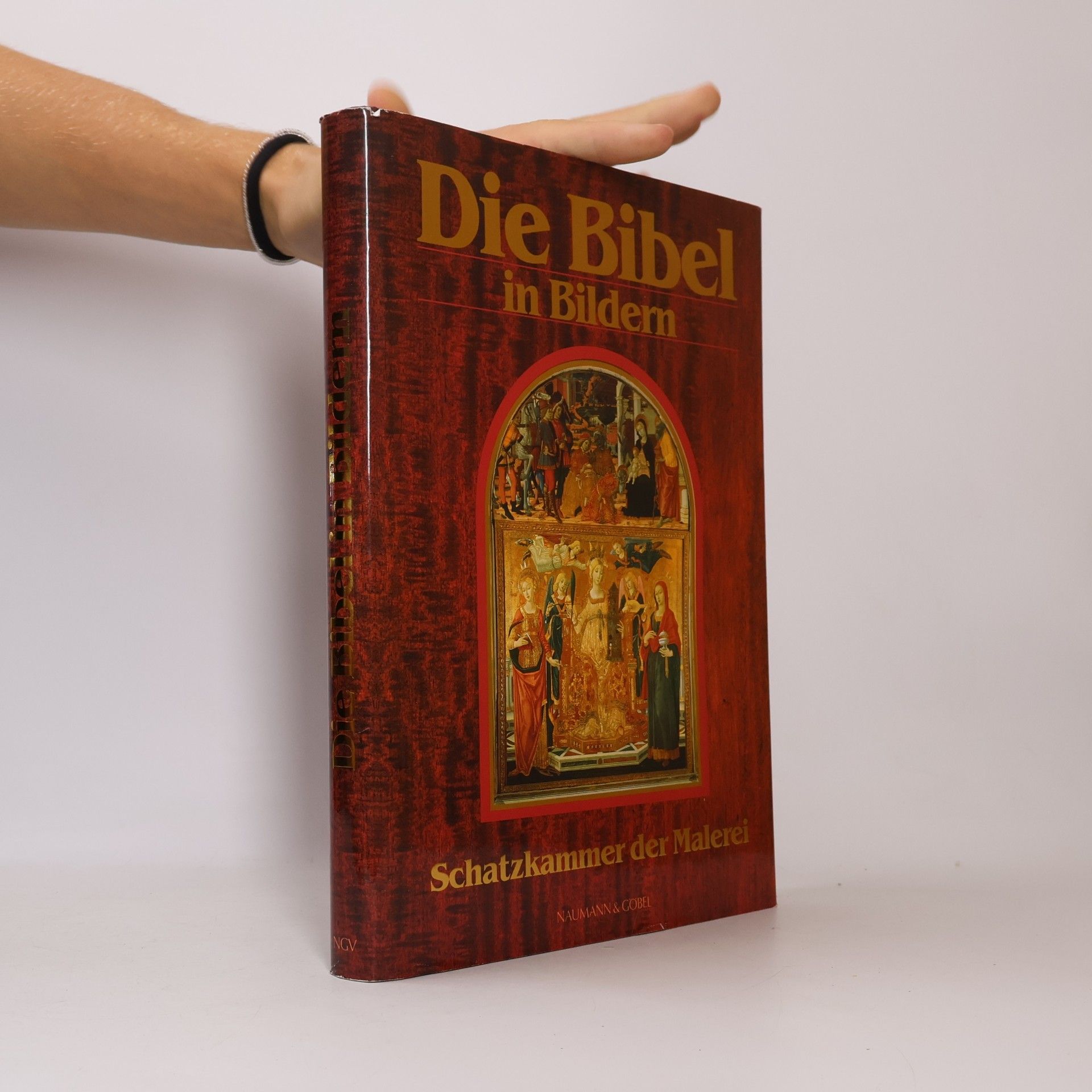 Autorenkollektiv Die Bibel in Bildern. Schatzkammer der Malerei