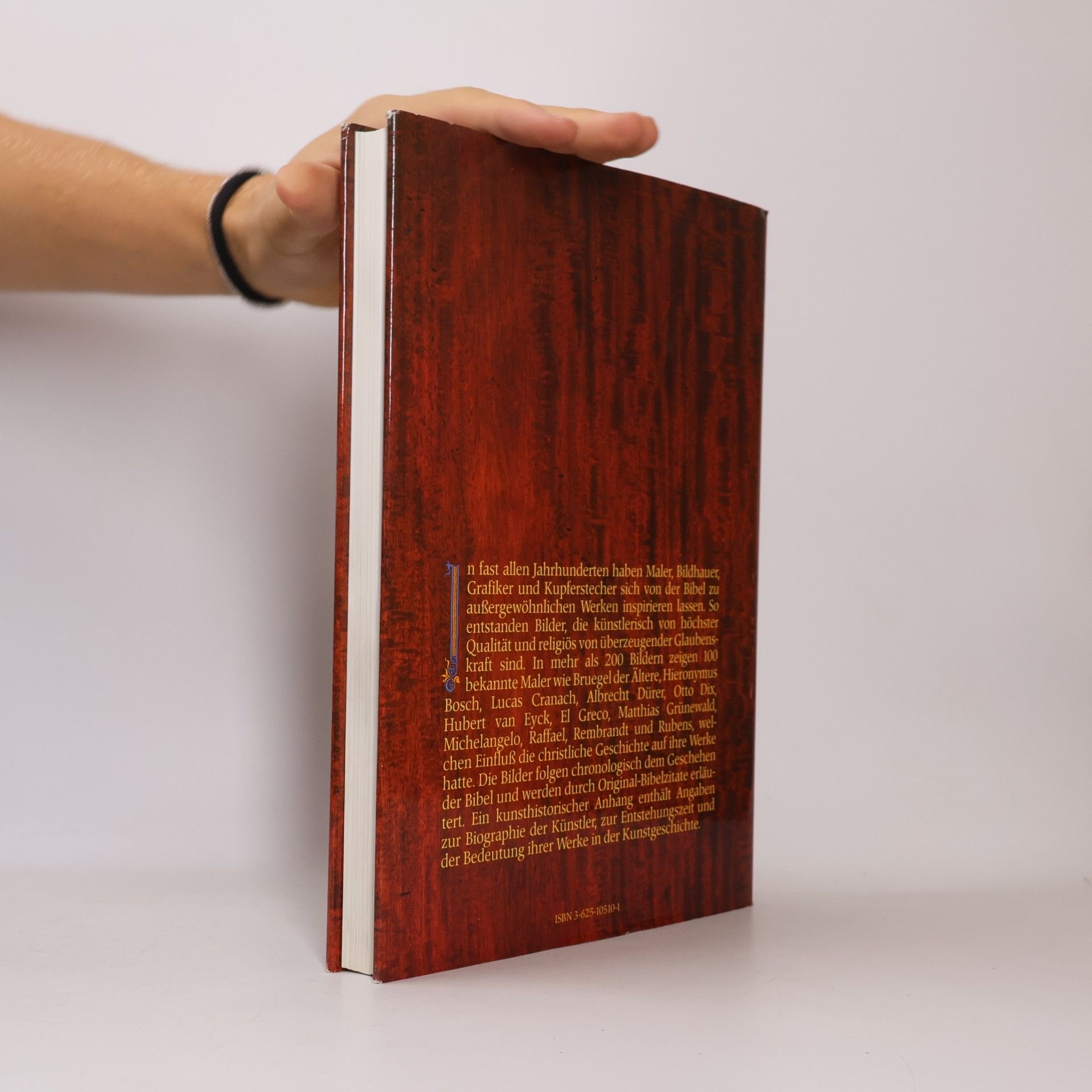 Autorenkollektiv Die Bibel in Bildern. Schatzkammer der Malerei