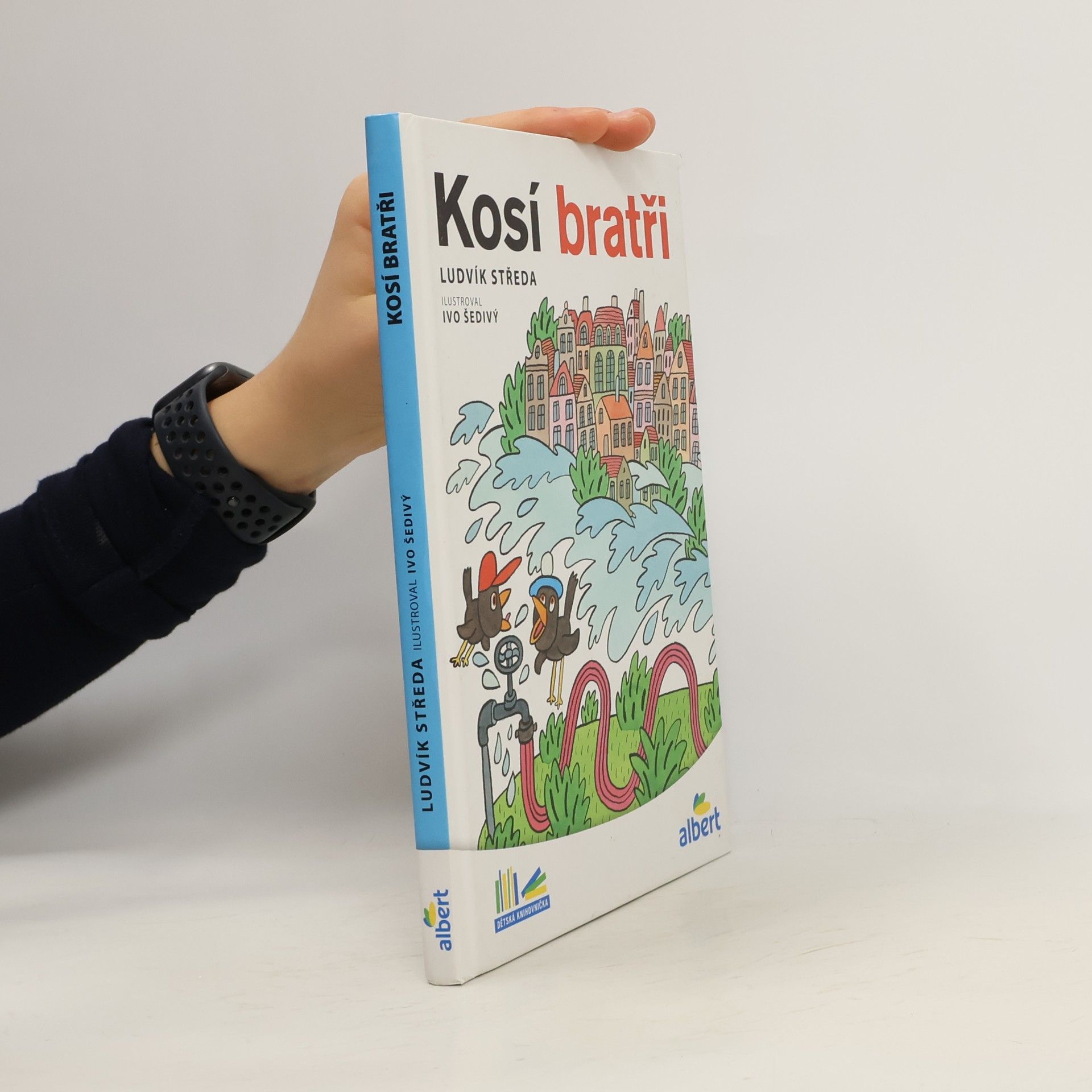 Ludvík Středa Kosí bratři
