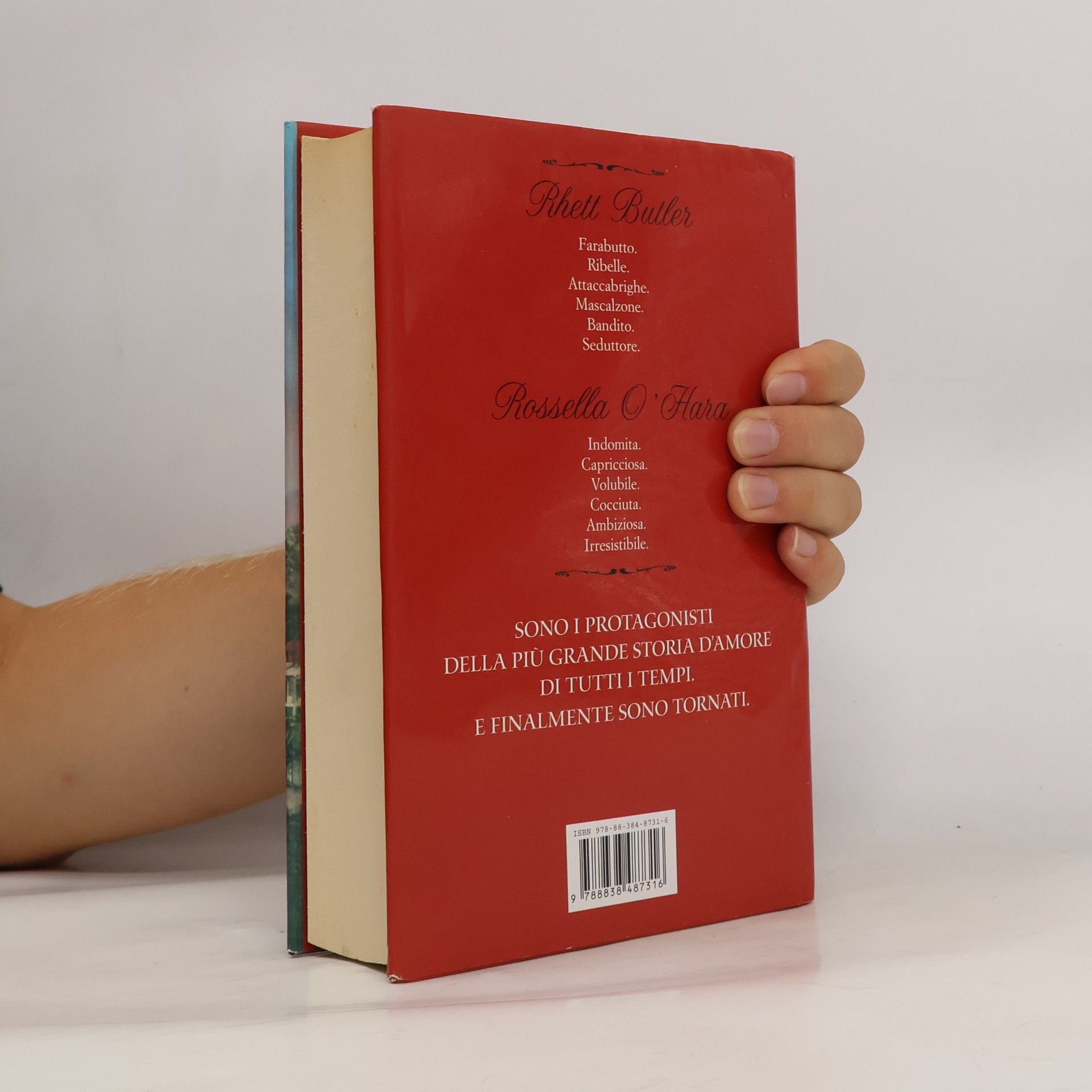 Donald McCaig Via Col Vento: Il mondo di Rhett