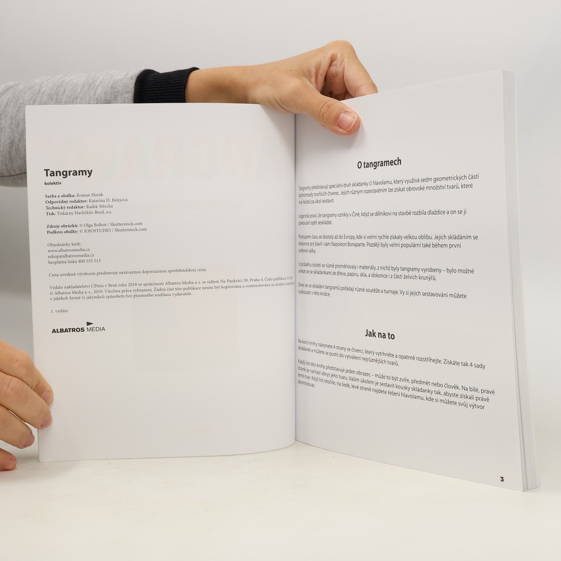 Autorenkollektiv Tangramy. Zábavné logické hlavolamy