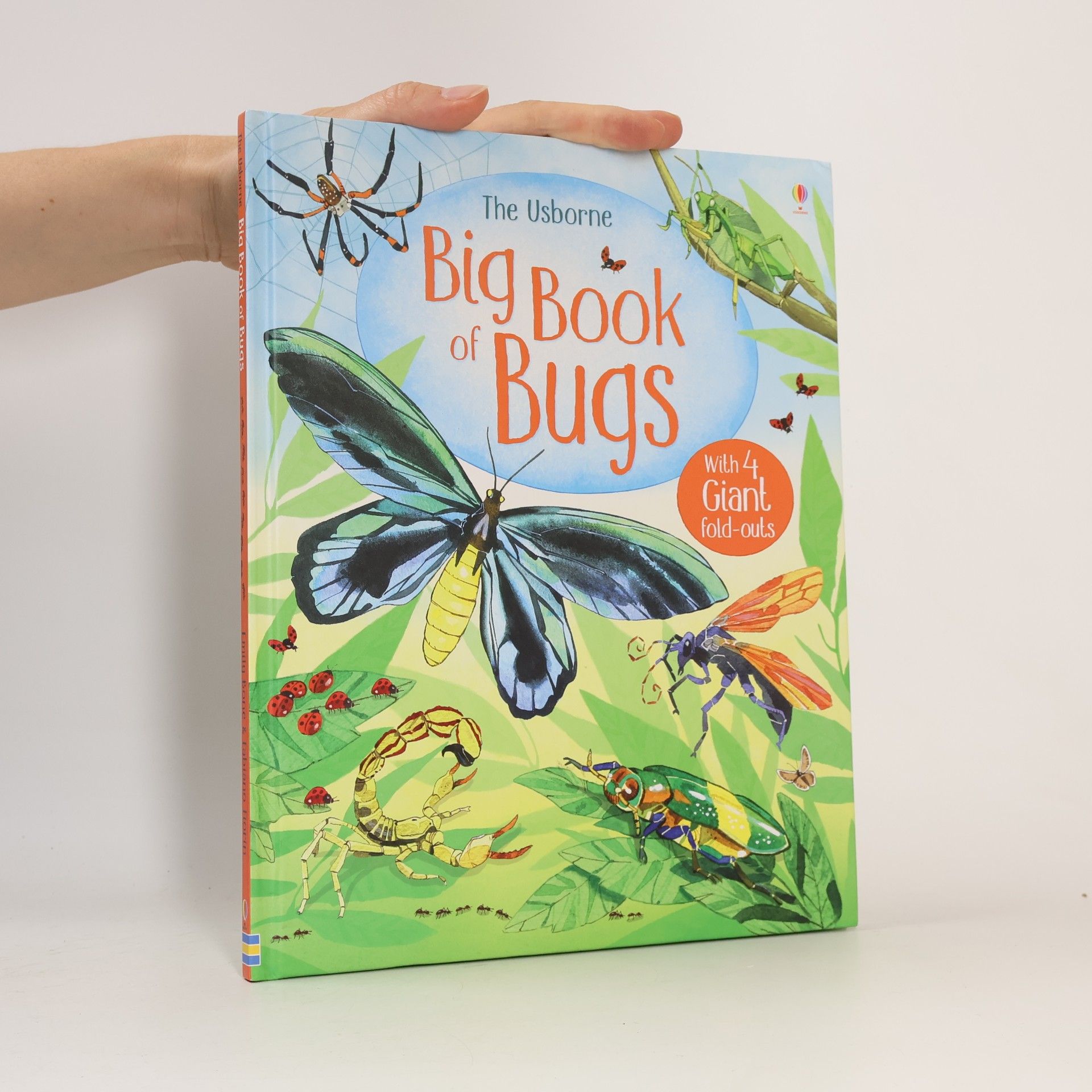 Emily Bone The Usborne Big Book of Bugs