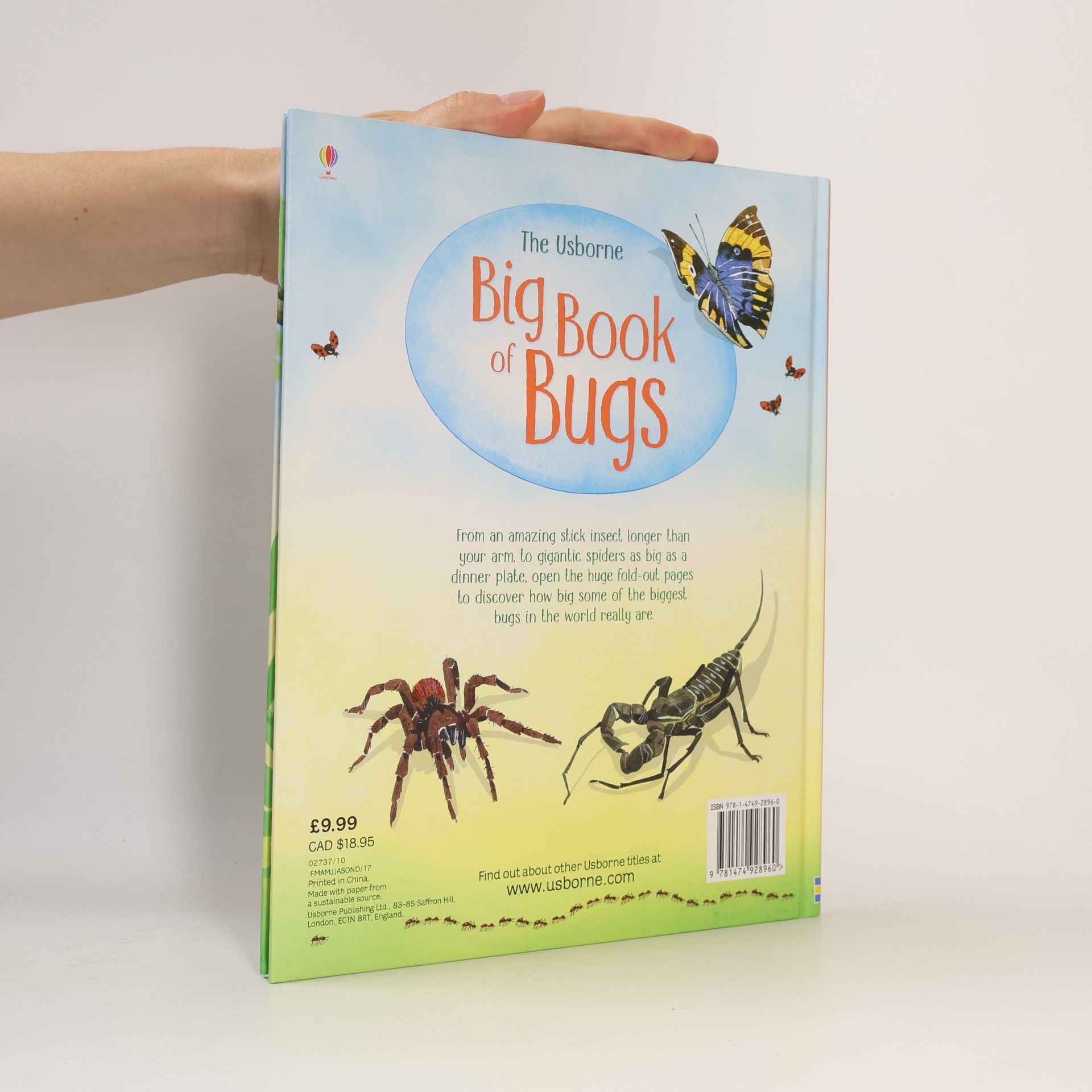 Emily Bone The Usborne Big Book of Bugs