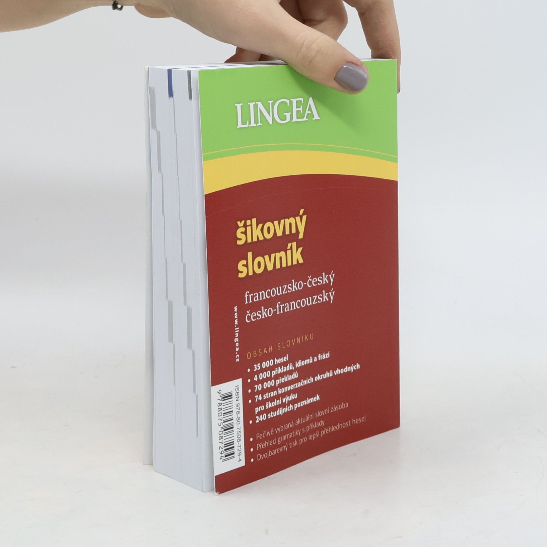 Autorenkollektiv Šikovný slovník francouzsko-český, česko-francouzský