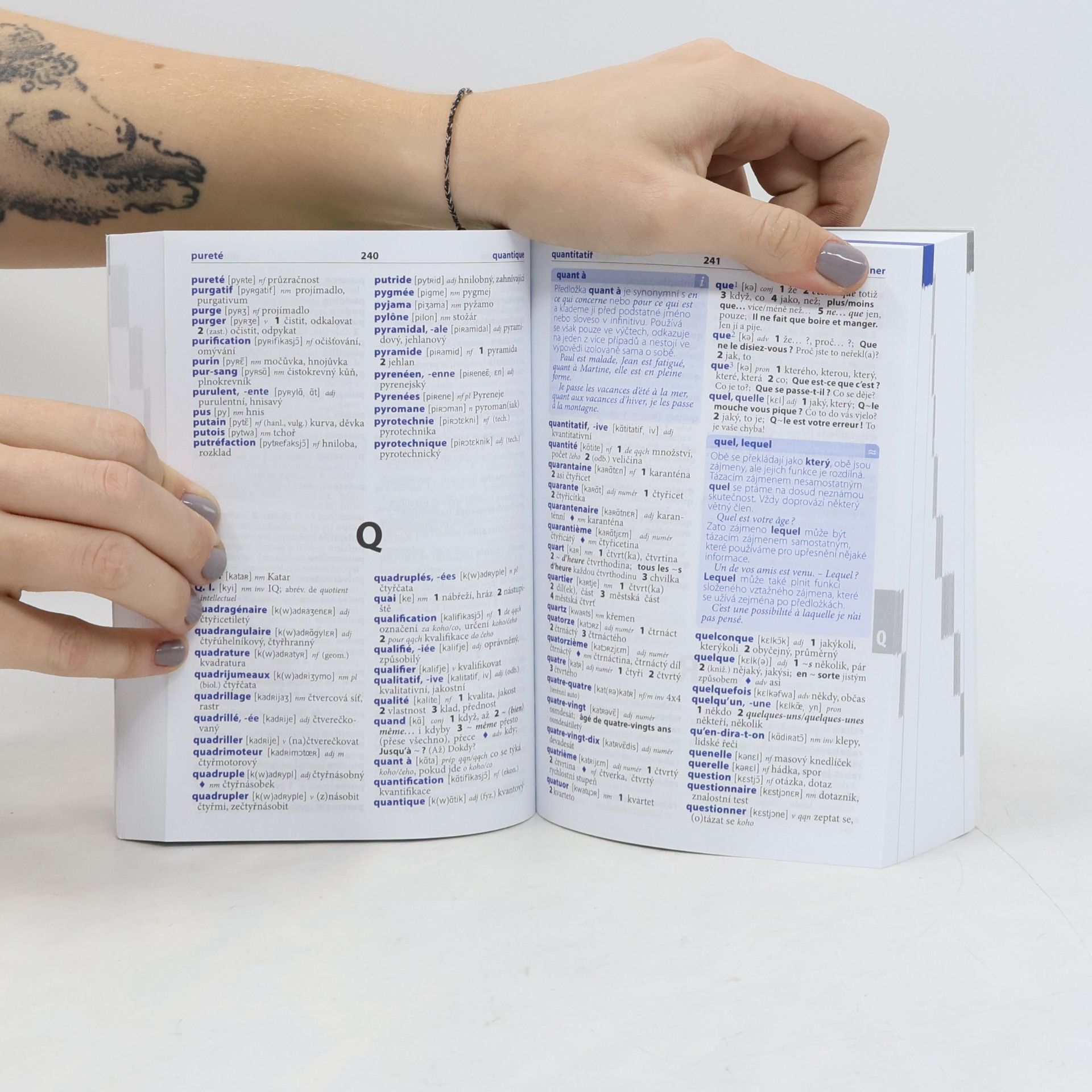 Autorenkollektiv Šikovný slovník francouzsko-český, česko-francouzský
