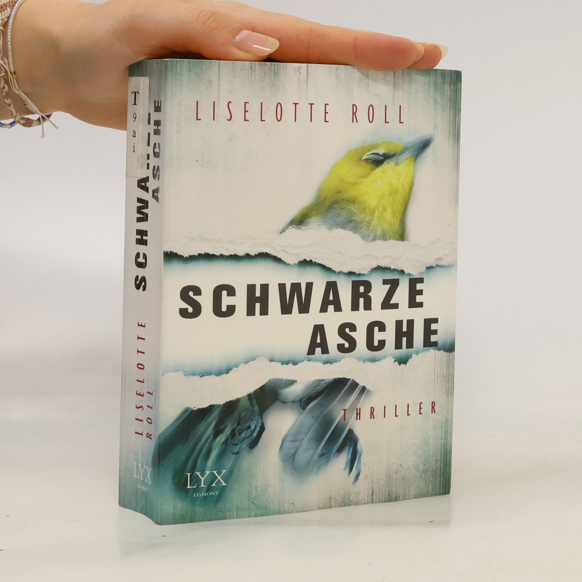 Schwarze Asche