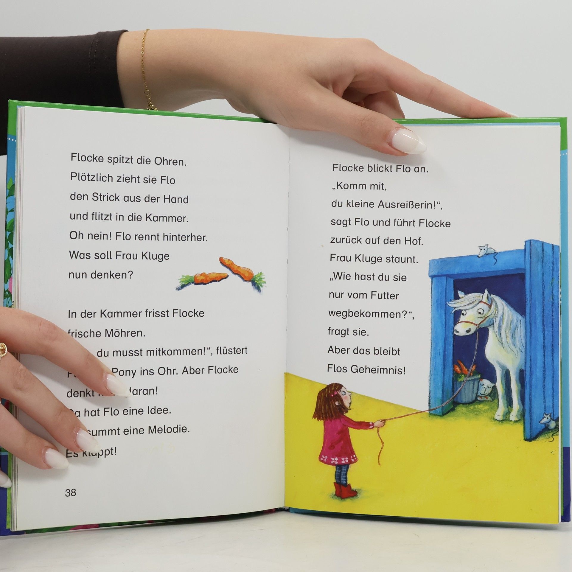 Carola von Kessel Mein liebstes Pony Flocke