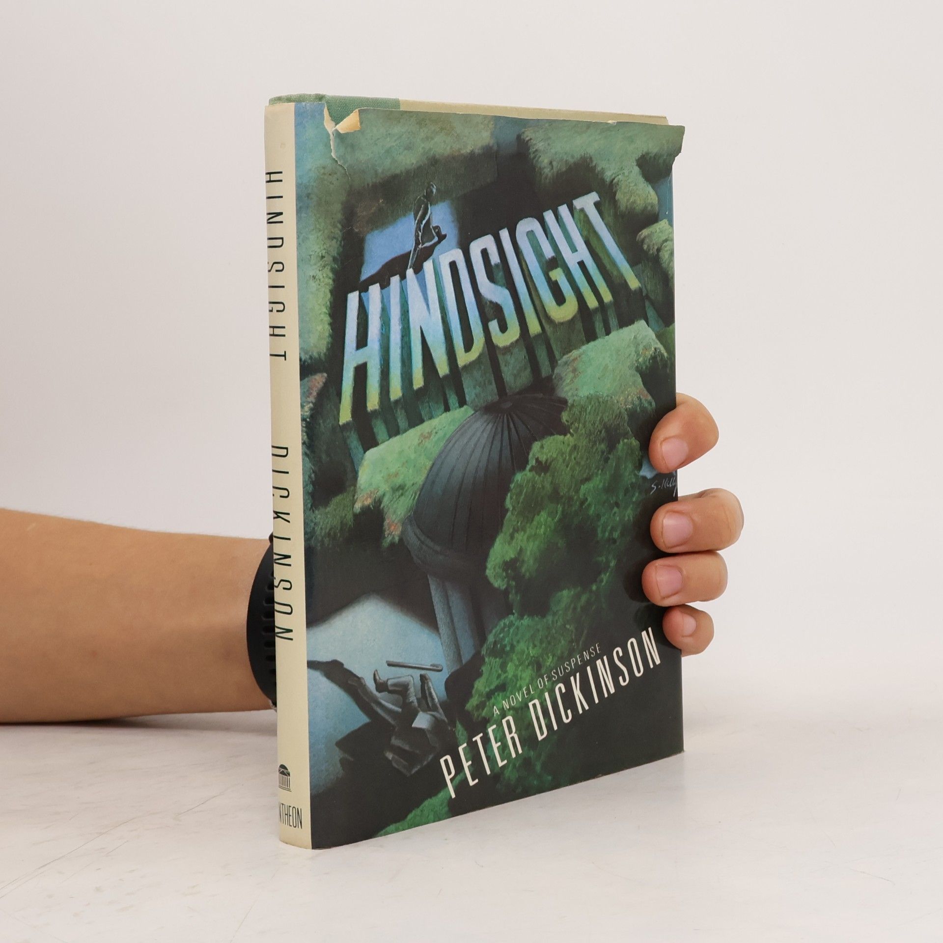 S. Hill Hindsight