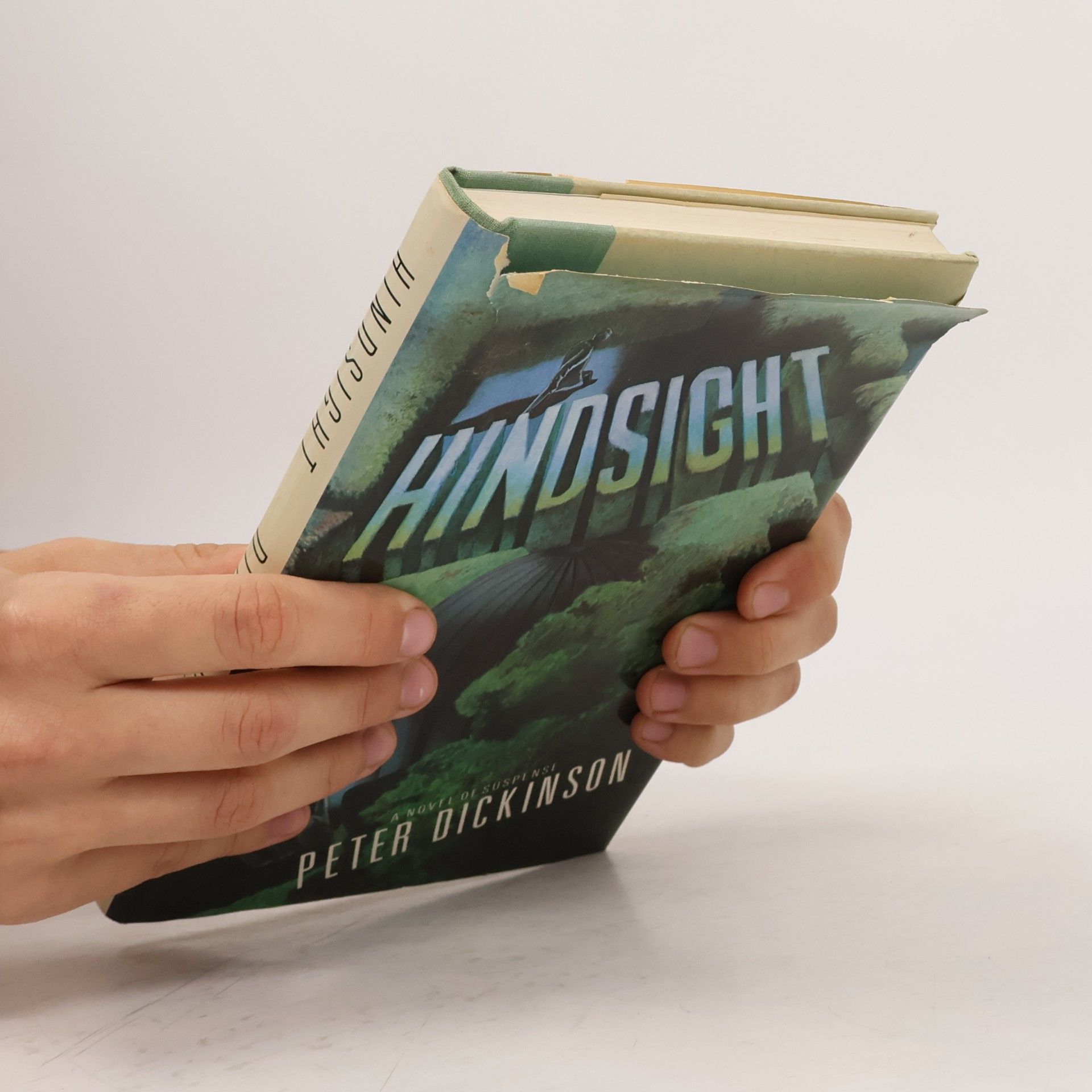Peter Dickinson Hindsight