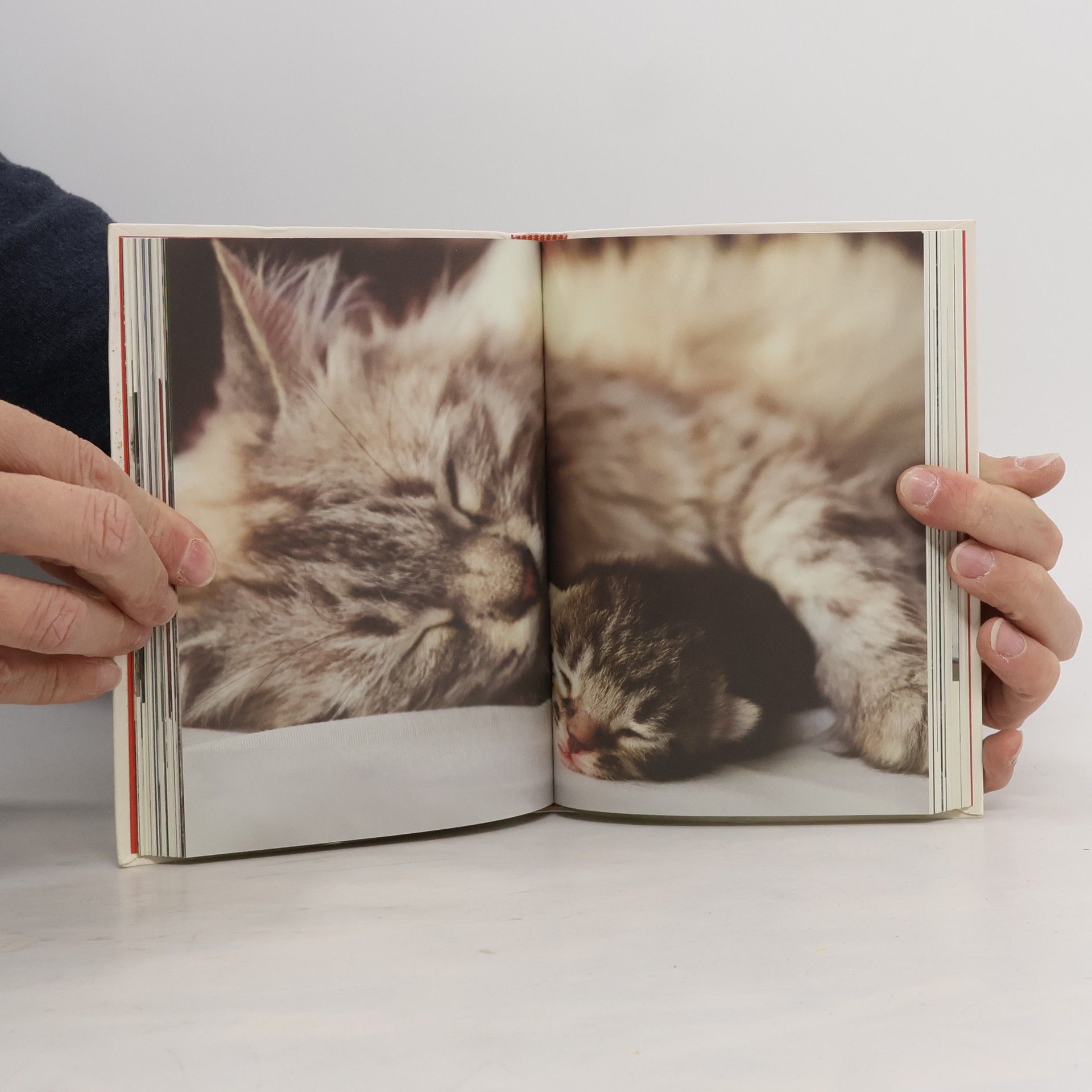 Brainard Carey The Art of Hugging