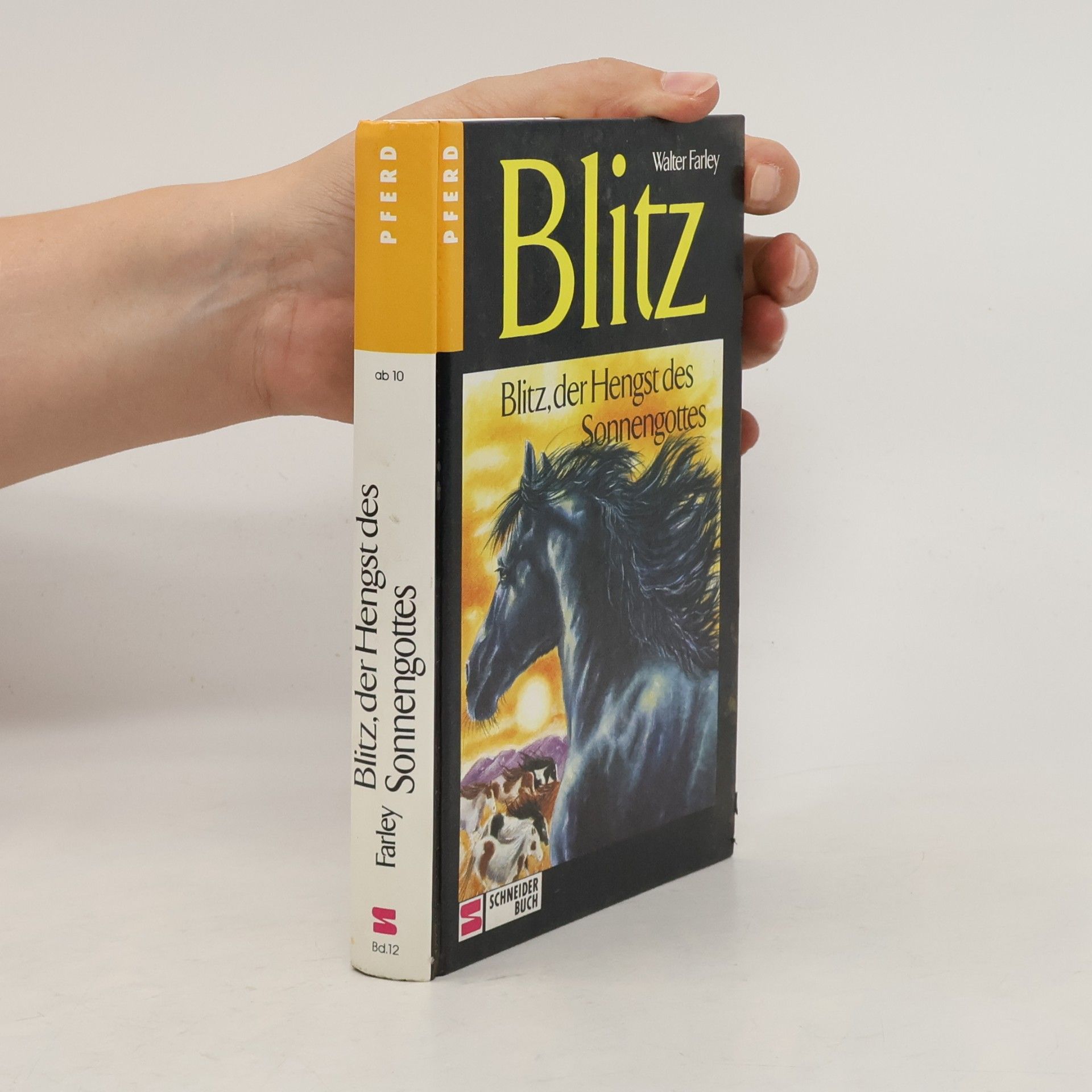 Walter Farley Blitz, der Hengst des Sonnengottes
