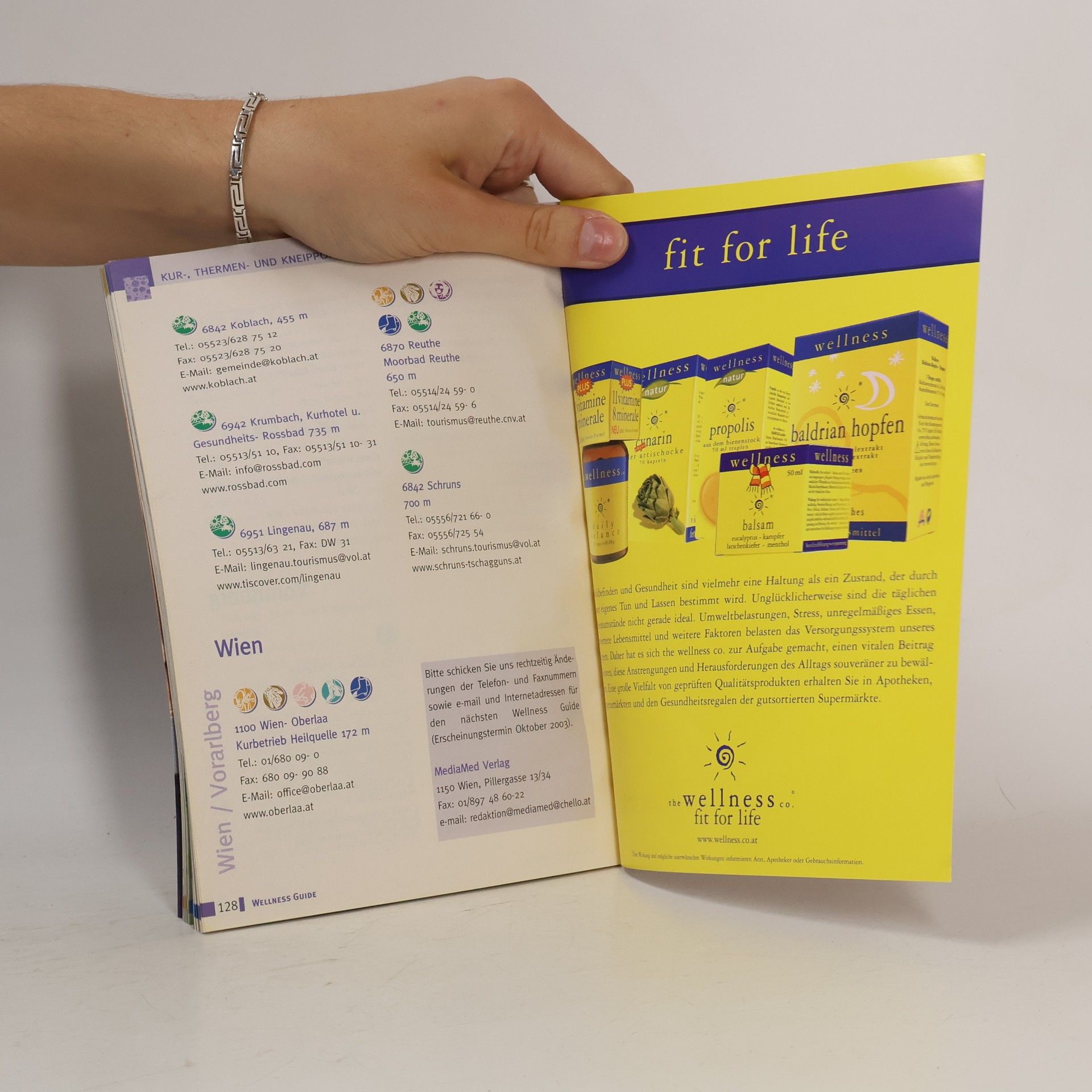 Autorenkollektiv Wellness Guide. Der Ratgeber für Körper, Geist und Seele