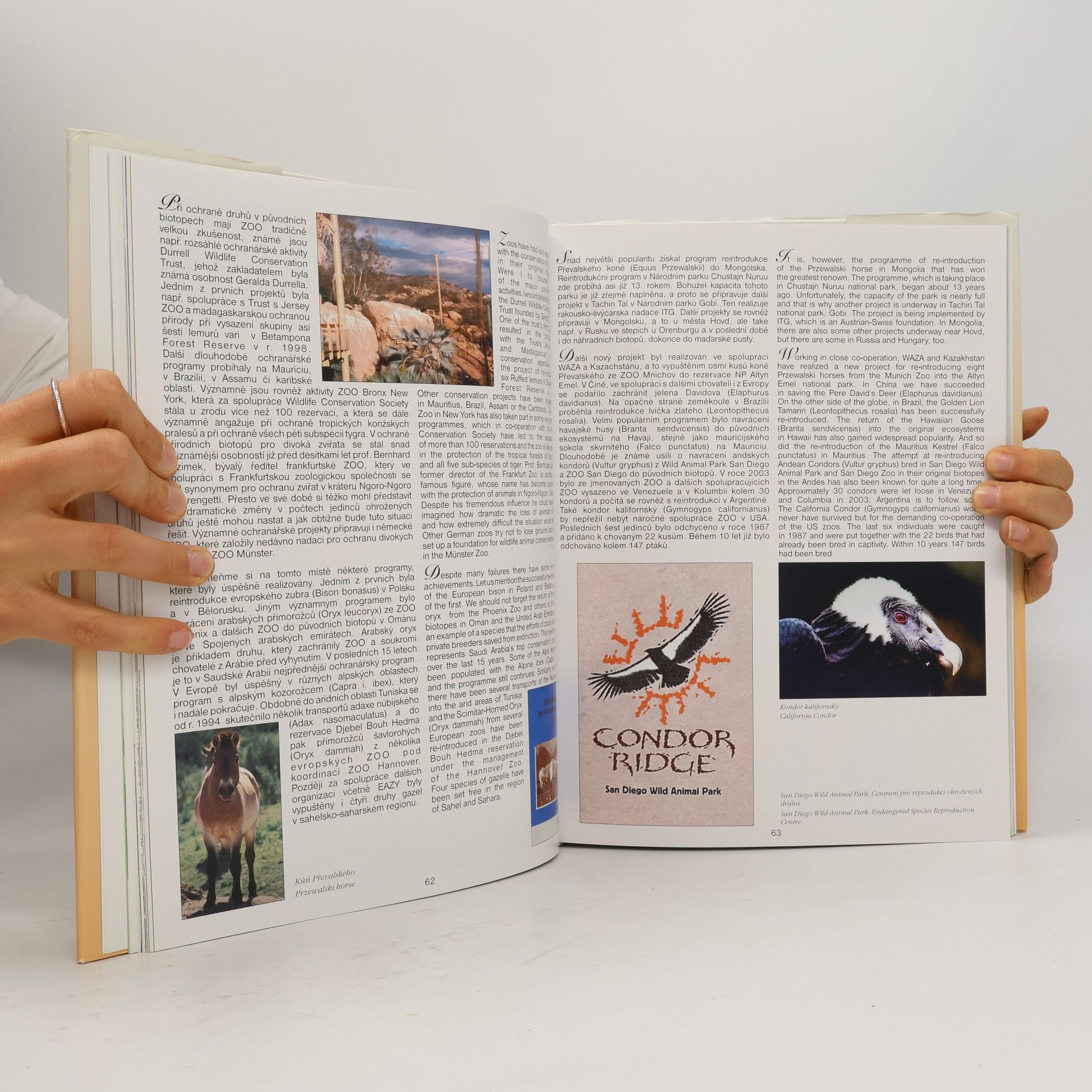 Radek Klimeš Lidé a zvířata : historie vzniku a významu zoologických zahrad = People and animals : history of the origin and importance of zoological garden