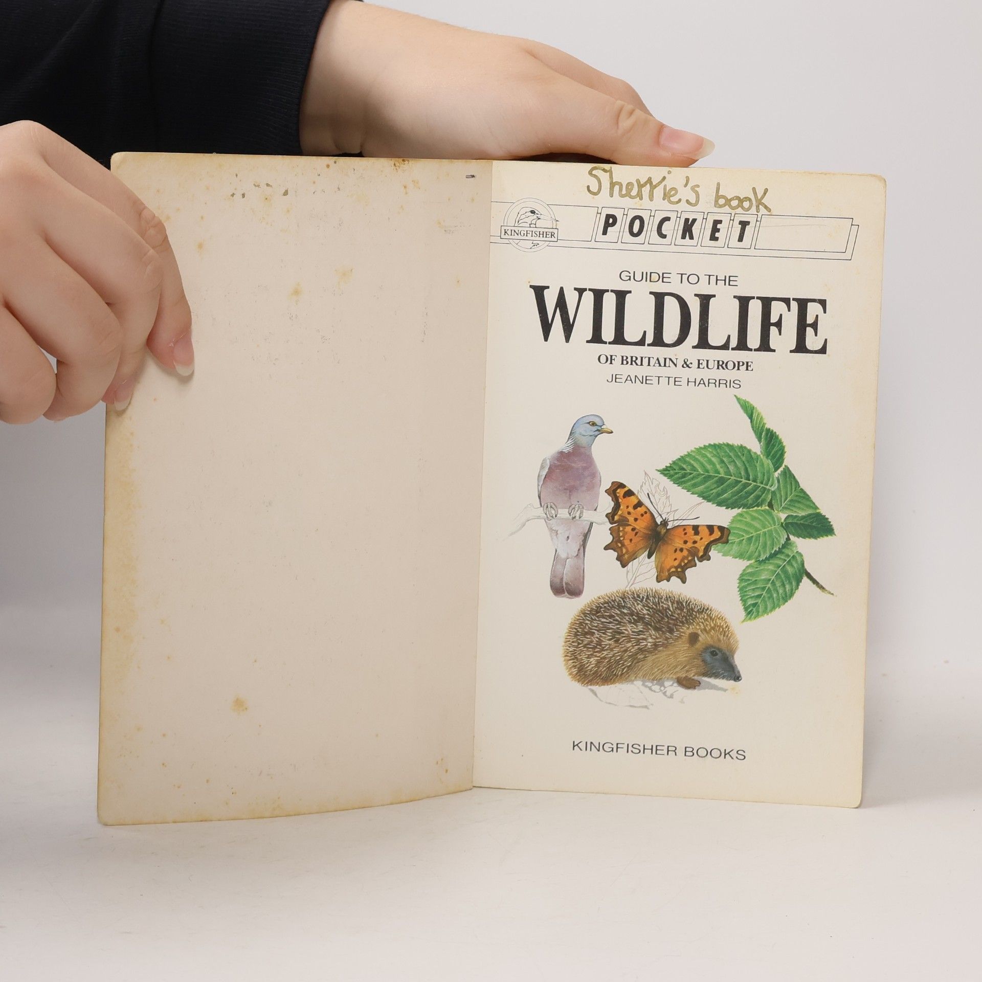 Jeanette Harris Kingfisher Pocket Books: Pocket Guide to the Wildlife of Britain & Europe