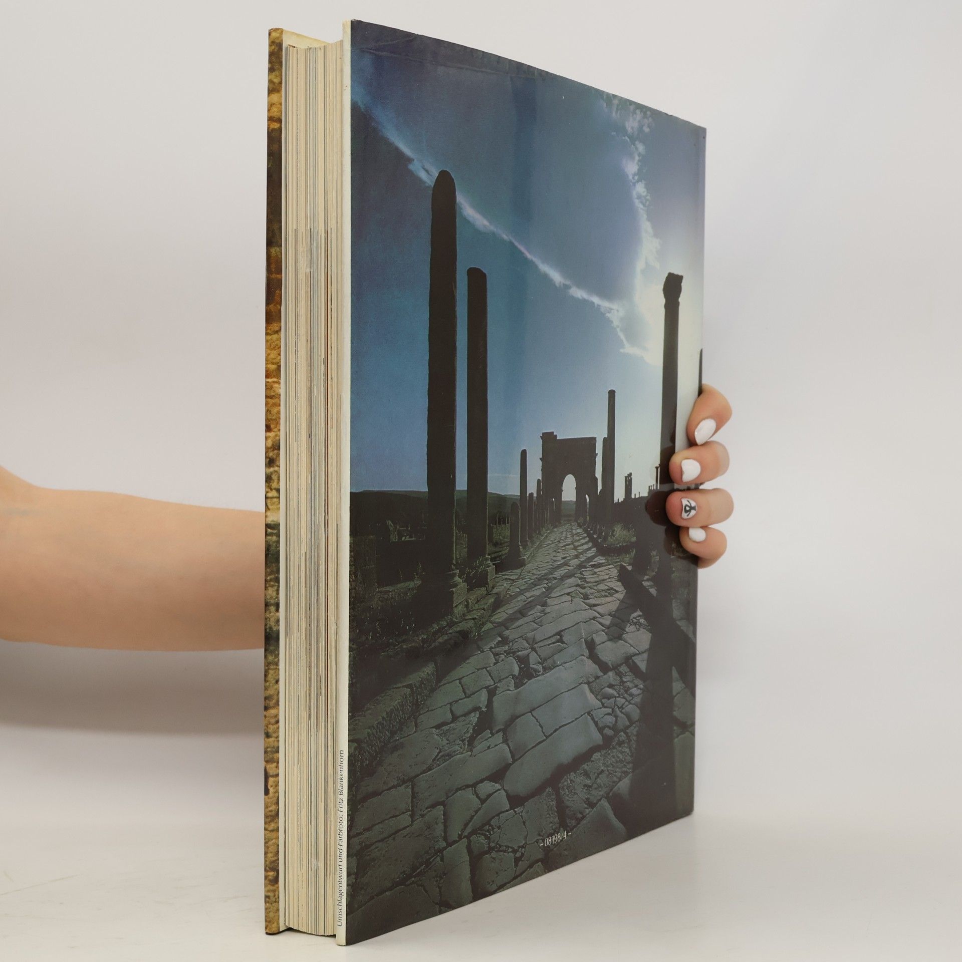 Barry W. Cunliffe Rom und sein Weltreich