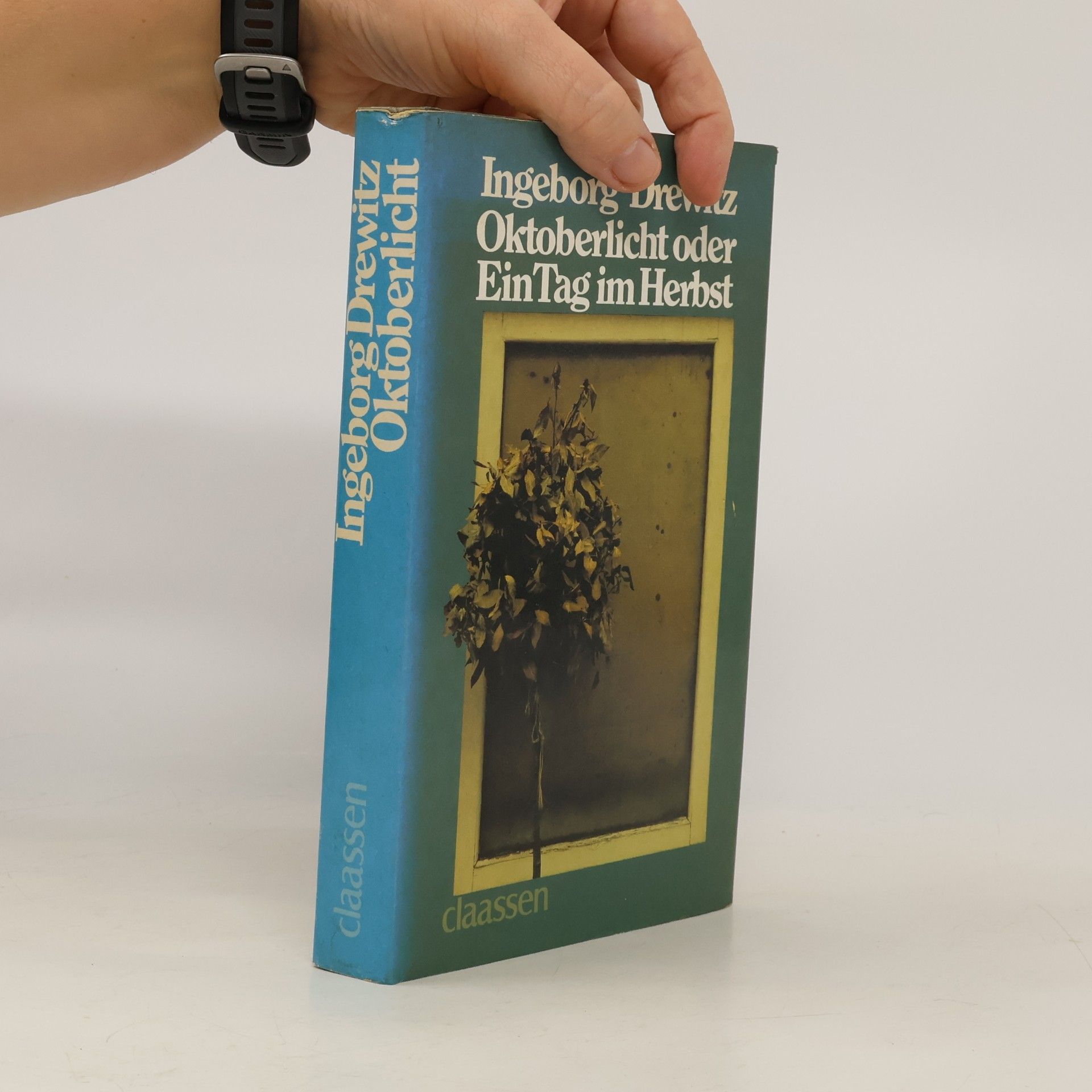 Ingeborg Drewitz Oktoberlicht oder Ein Tag im Herbst