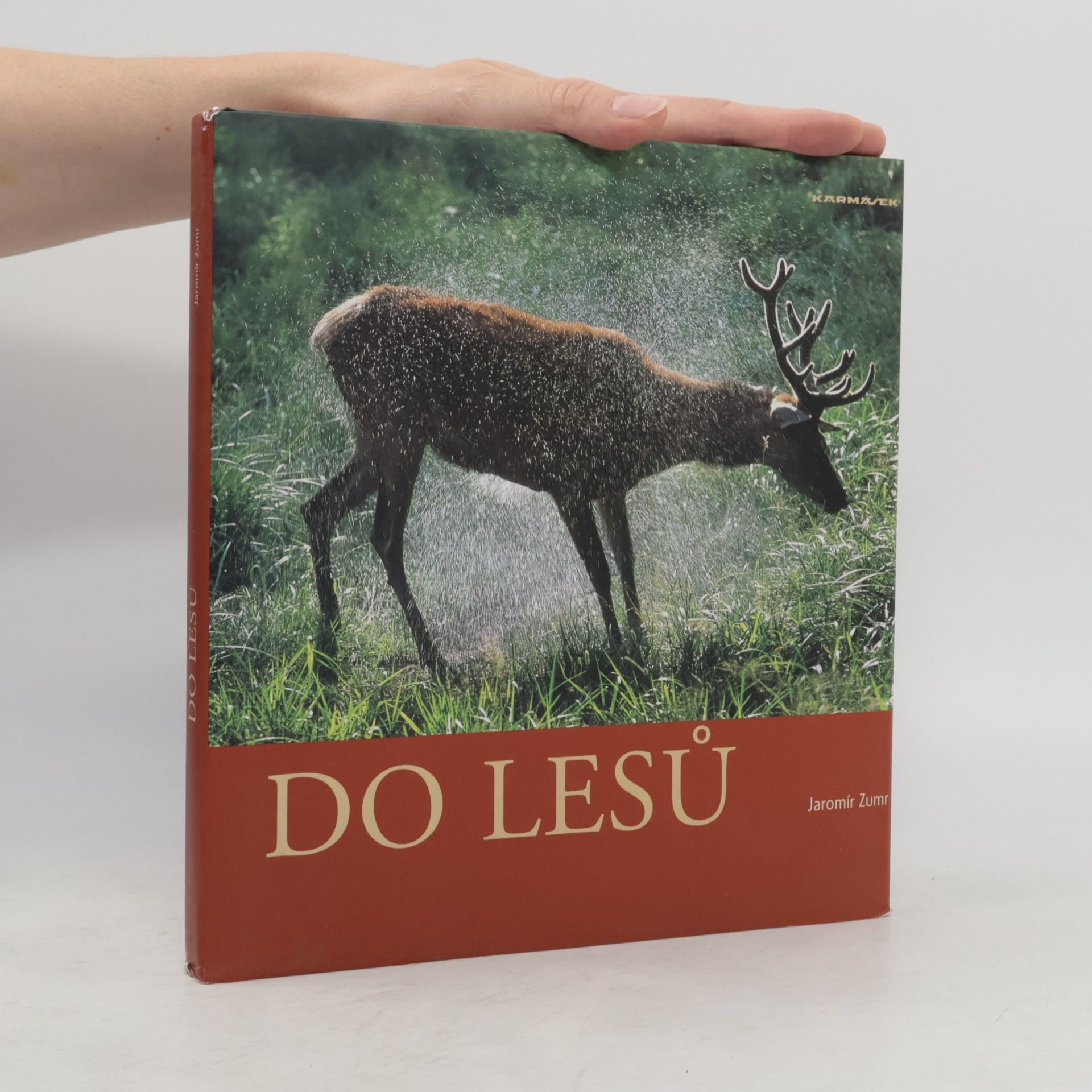 Jaromír Zumr Do lesů