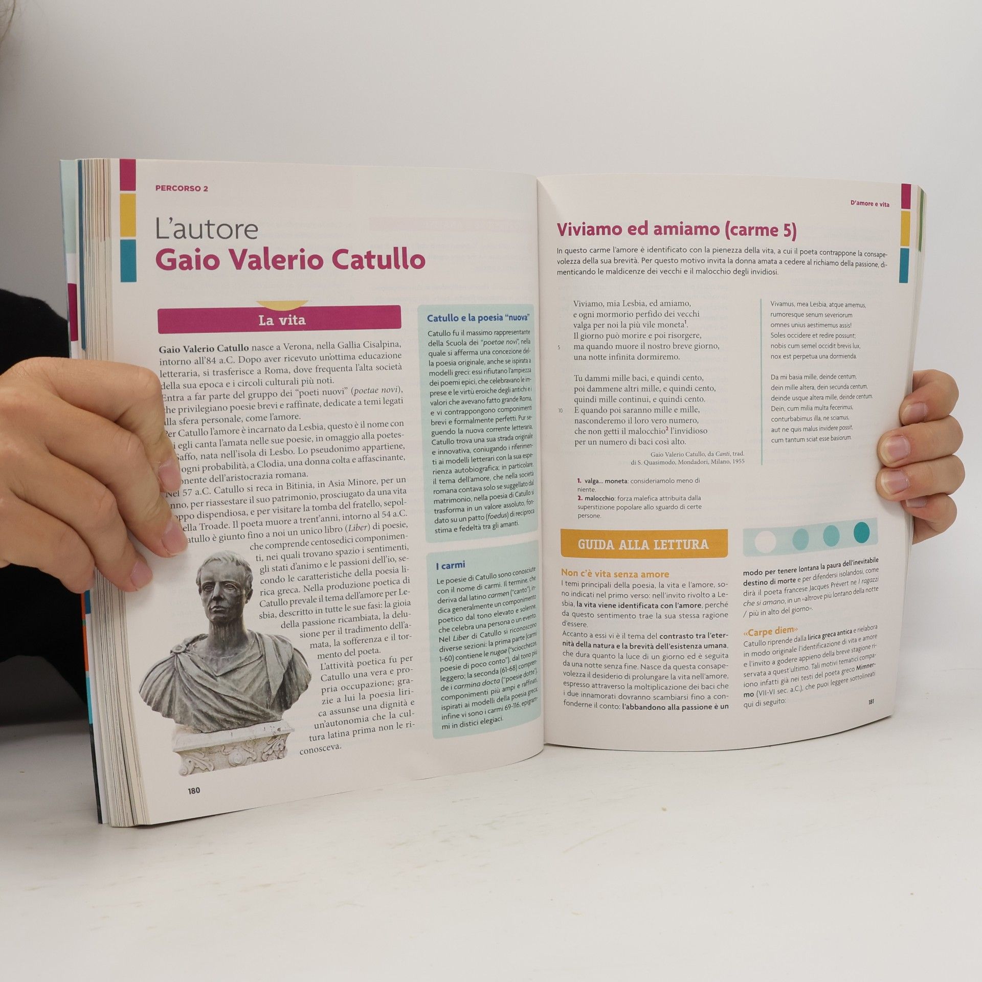 Paola Avella Orizzonti di lettura: Vita viva