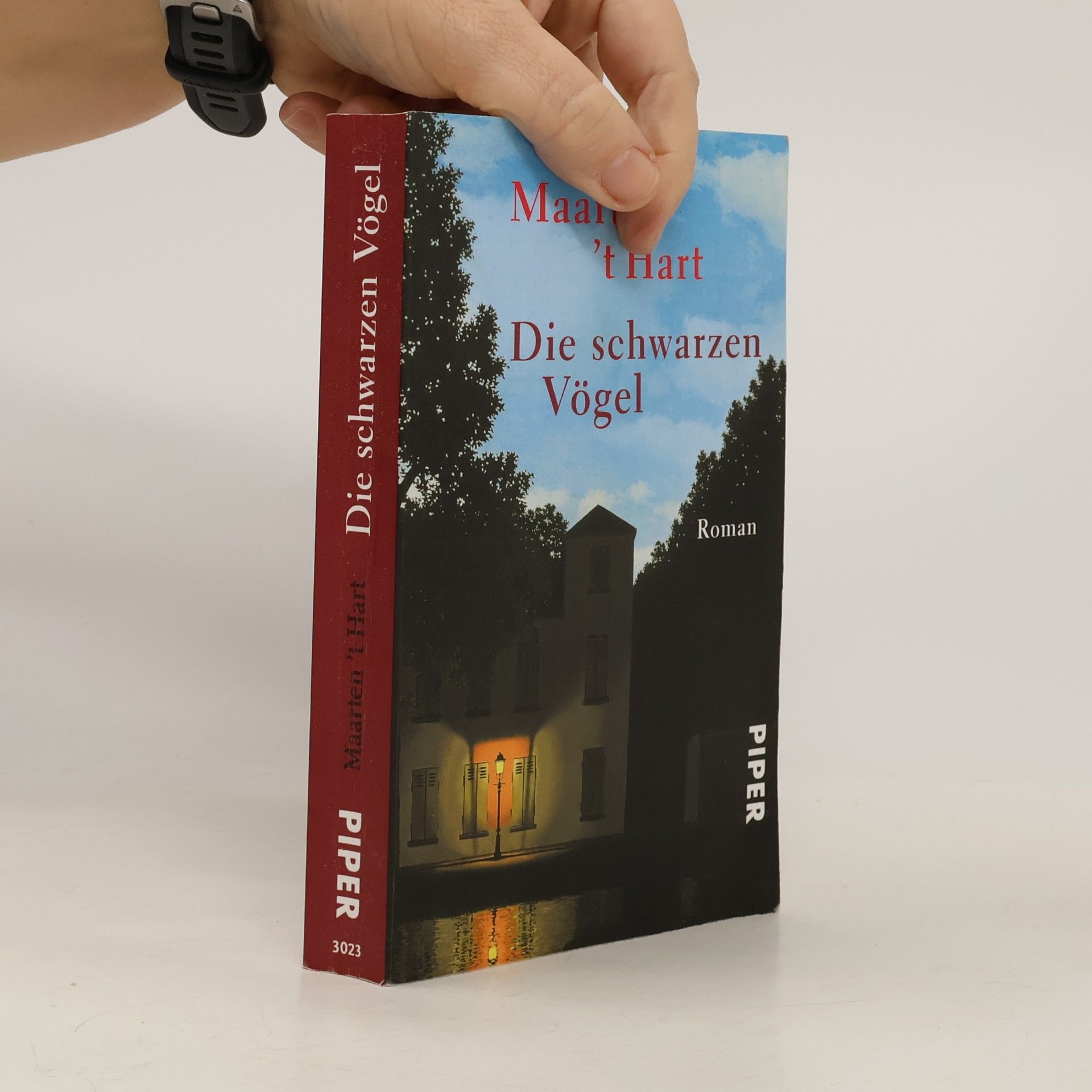 Maarten t. Hart Die schwarzen Vögel