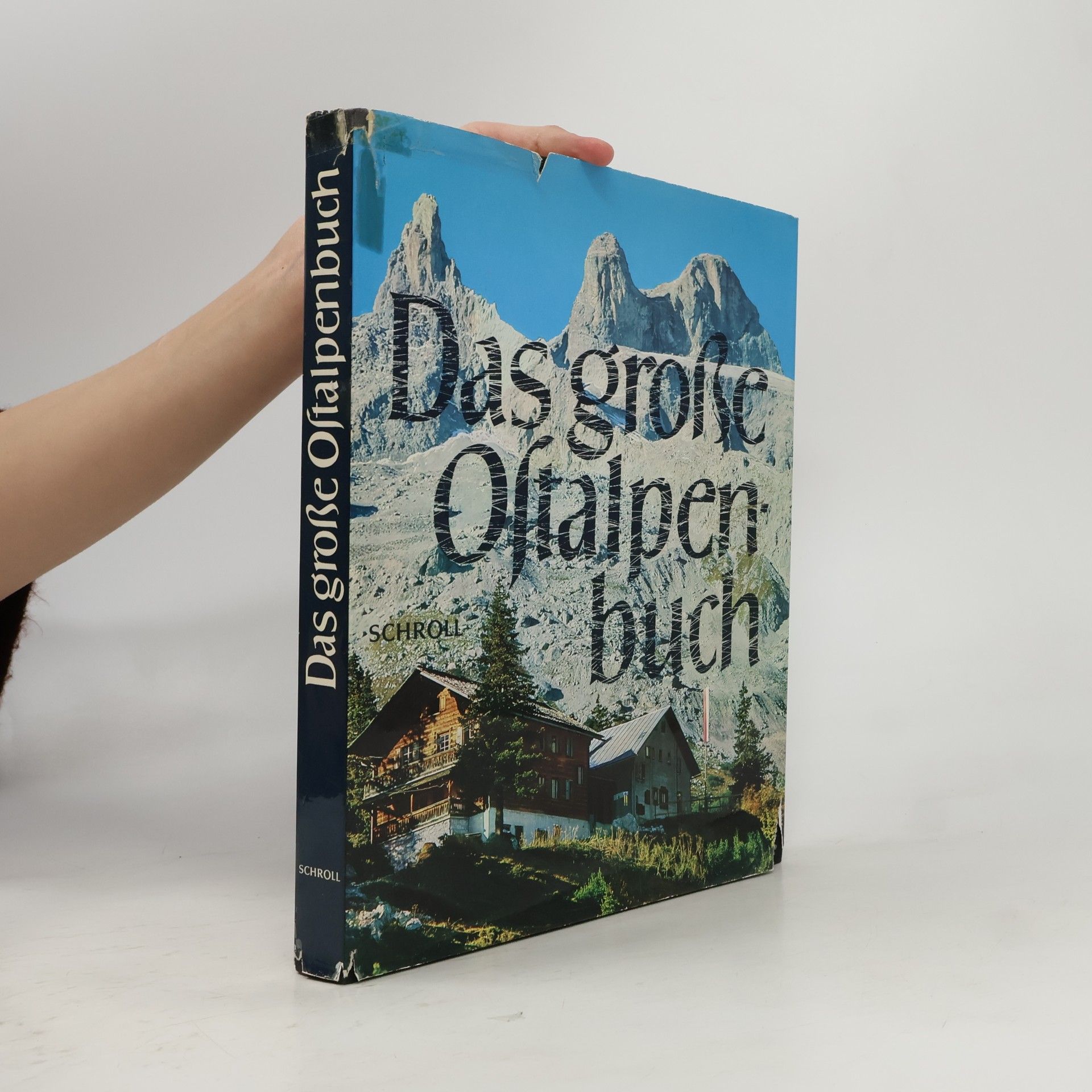 Various authors Das große Ostalpenbuch