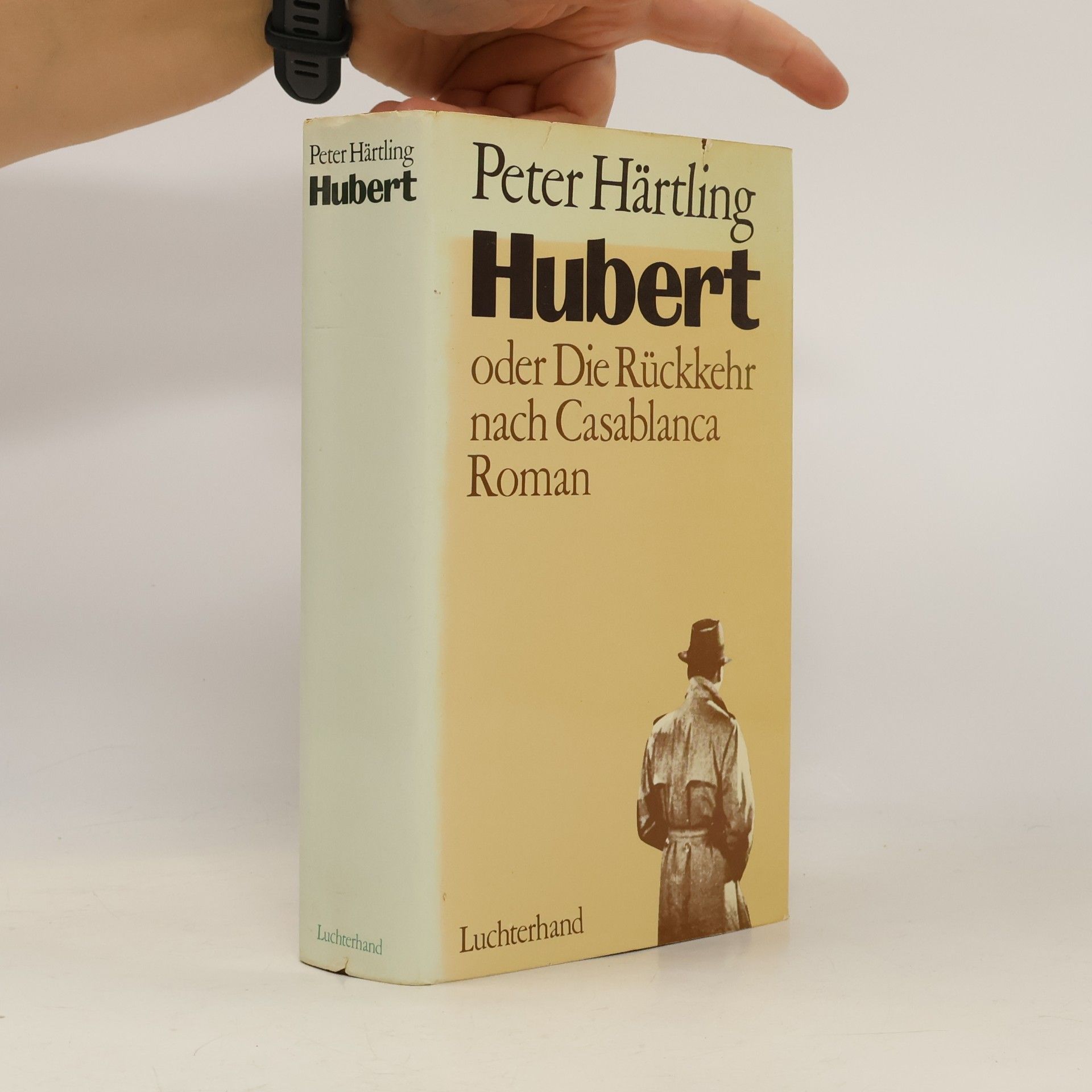 Peter Härtling Hubert oder Die Rückkehr nach Casablanca