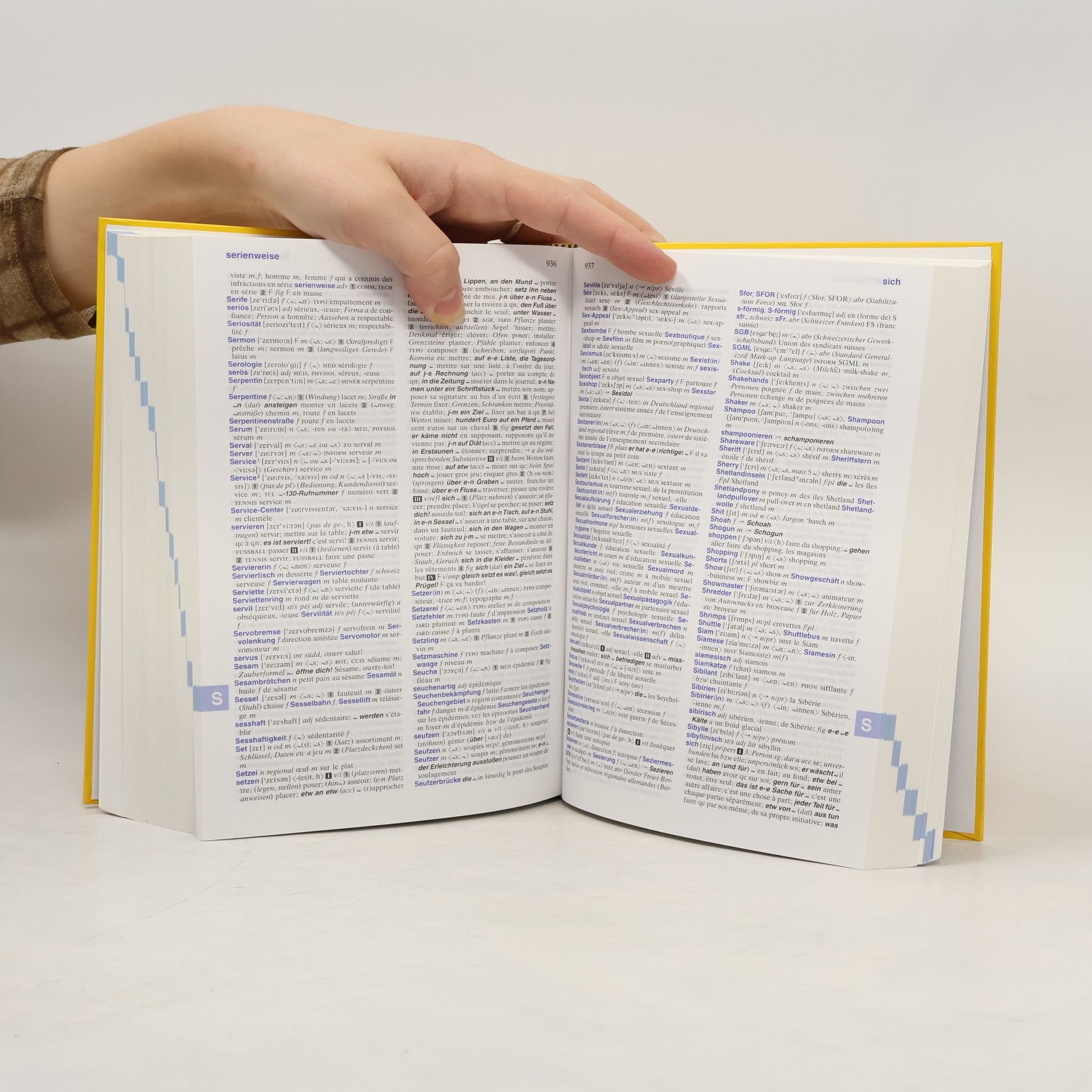 Barbara Epple Langenscheidt, großes Schulwörterbuch Deutsch-Französisch
