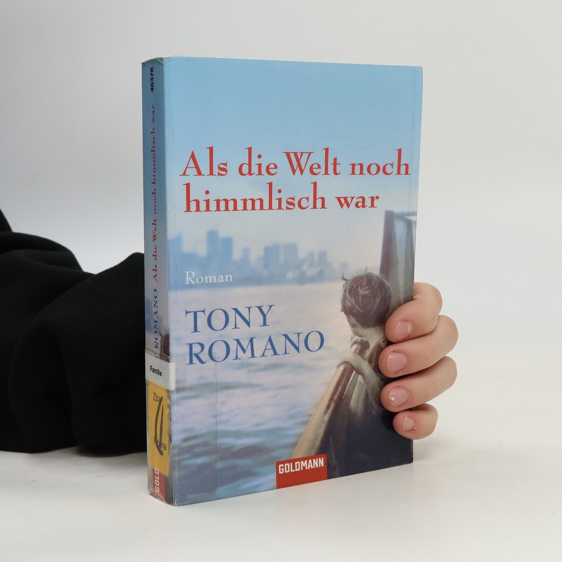 Isabella Bruckmaier Als die Welt noch himmlisch war. Roman