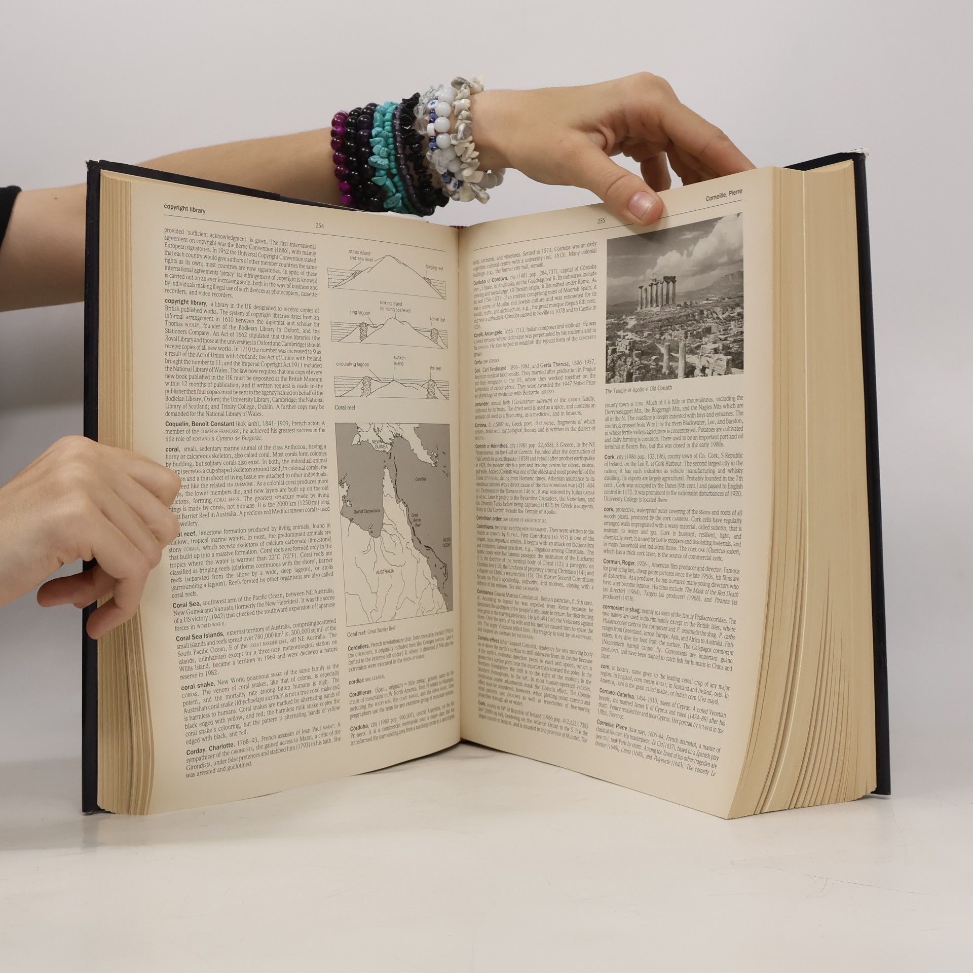 Asa Briggs The Longman Encyclopedia
