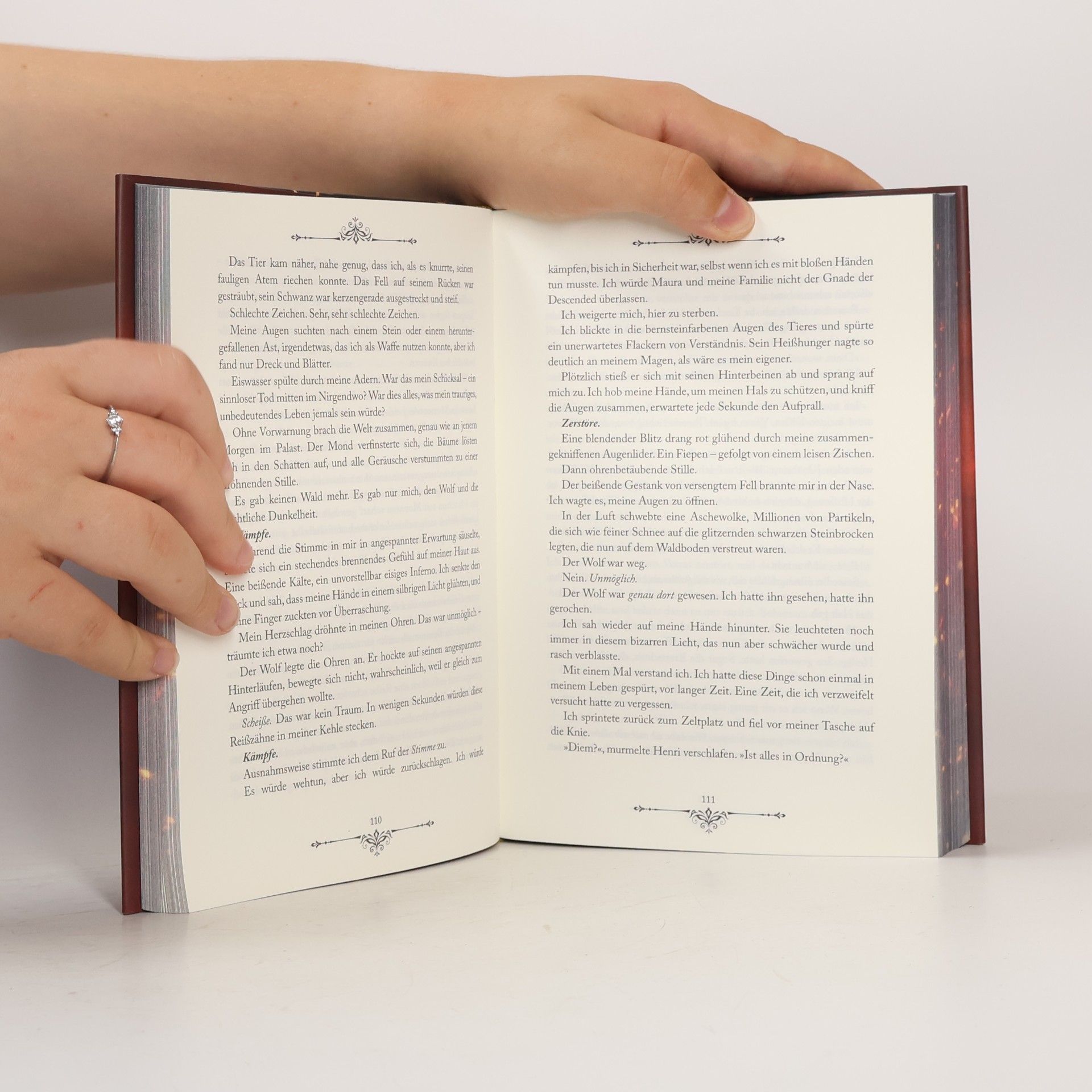Penn Cole Spark of the Everflame / Kindred´s Curse Saga Bd.1