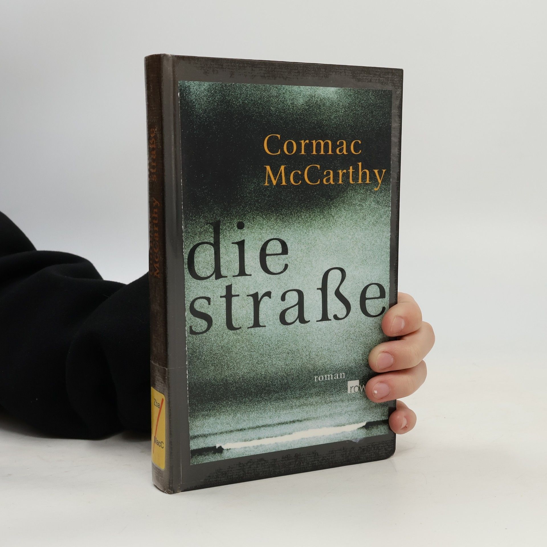 Cormac McCarthy Die Straße