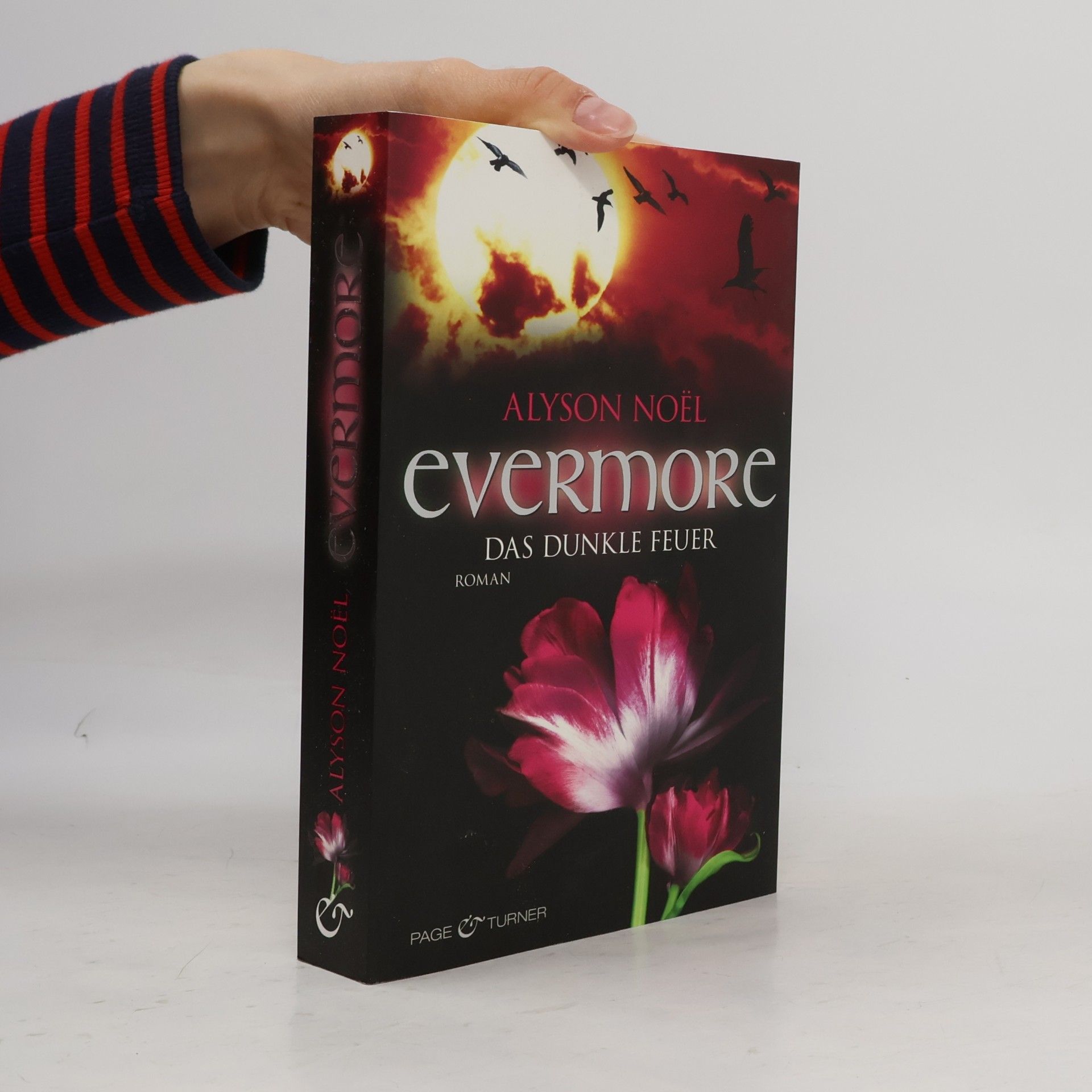 Alyson Noël Evermore: Das dunkle Feuer