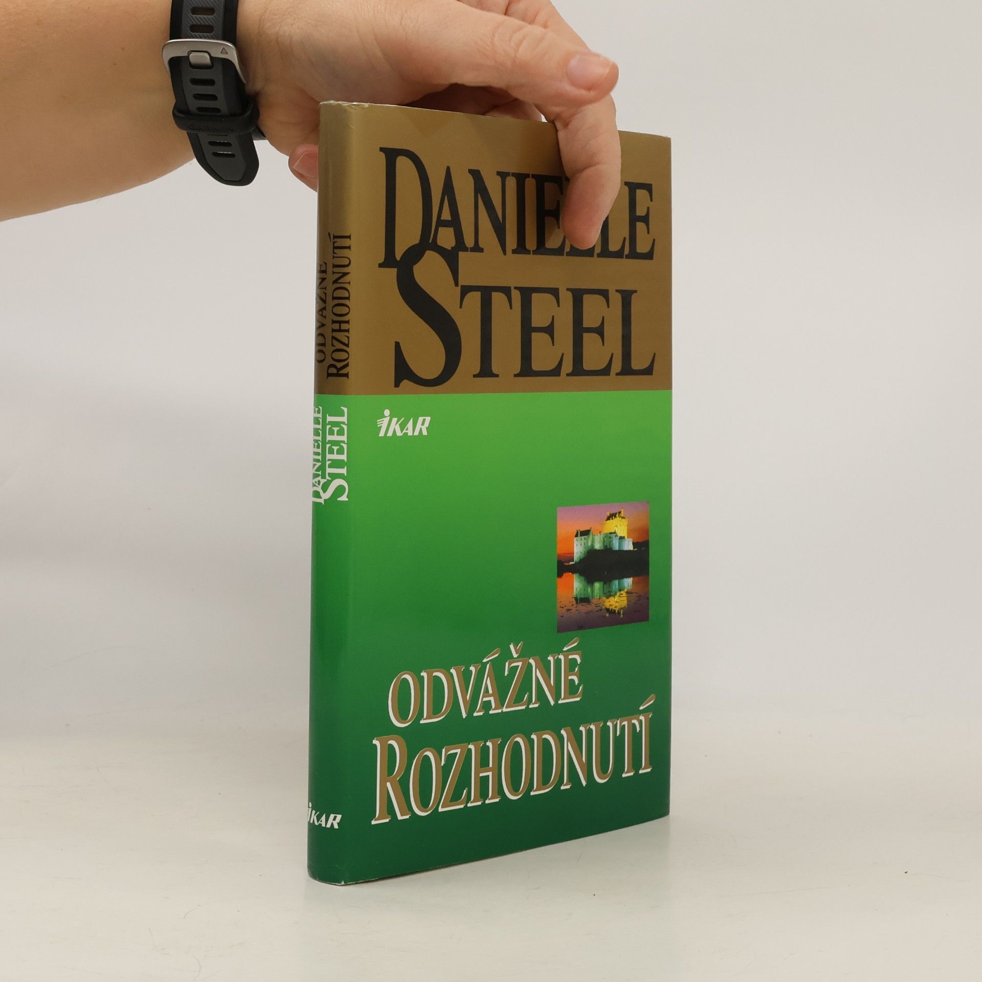 Danielle Steel Odvážné rozhodnutí