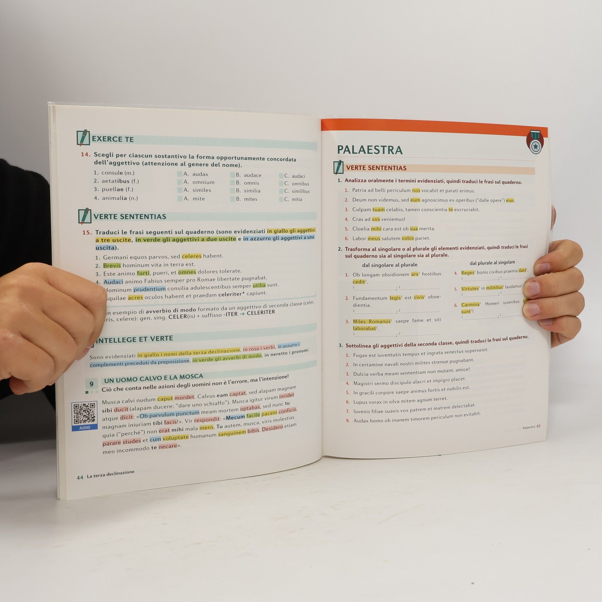 Autorenkollektiv Impara facile. Latino