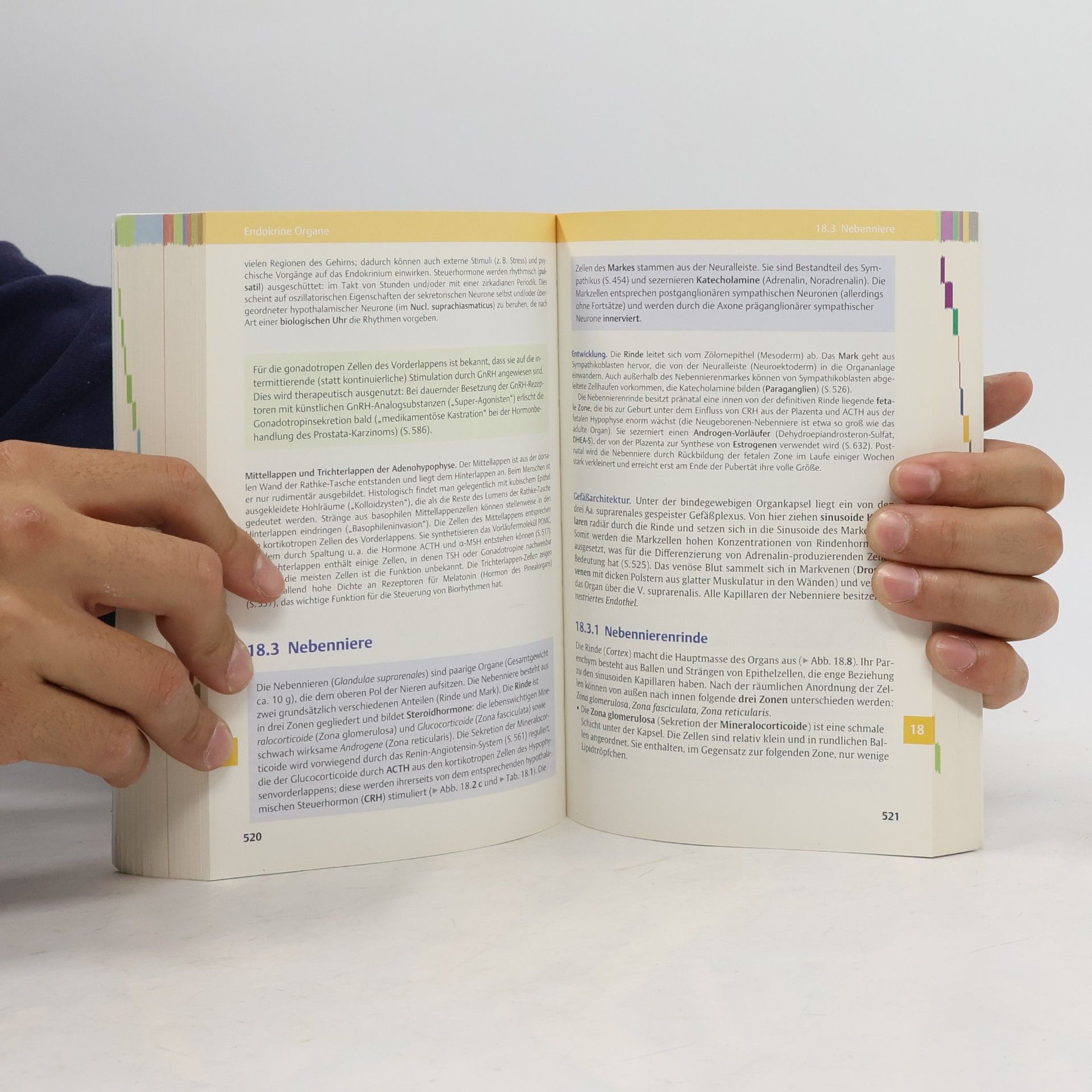 Renate Lüllmann-Rauch Taschenlehrbuch Histologie