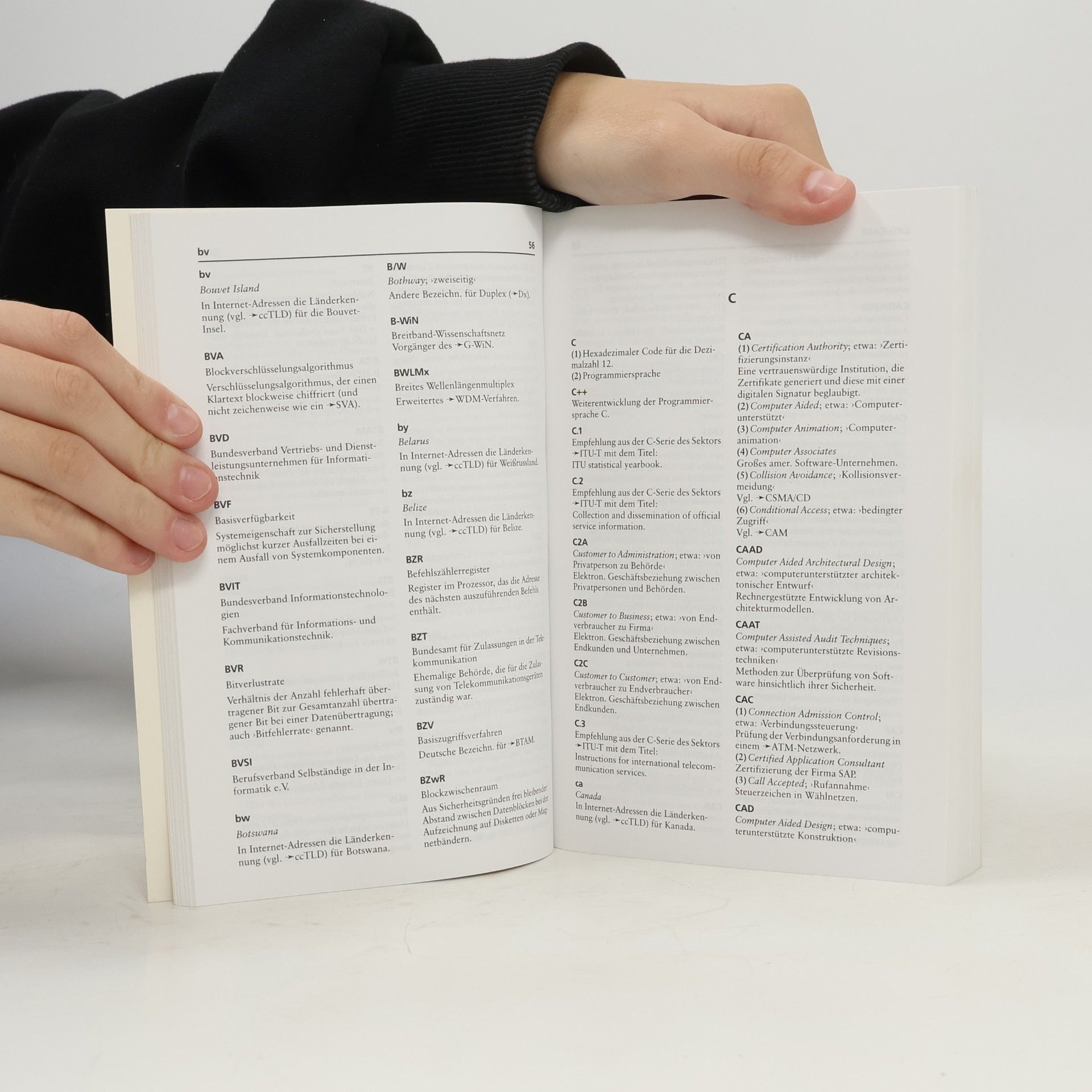 Thorsten Petrowski Beck EDV-Berater: PC- & IT-Abkürzungen von A-Z