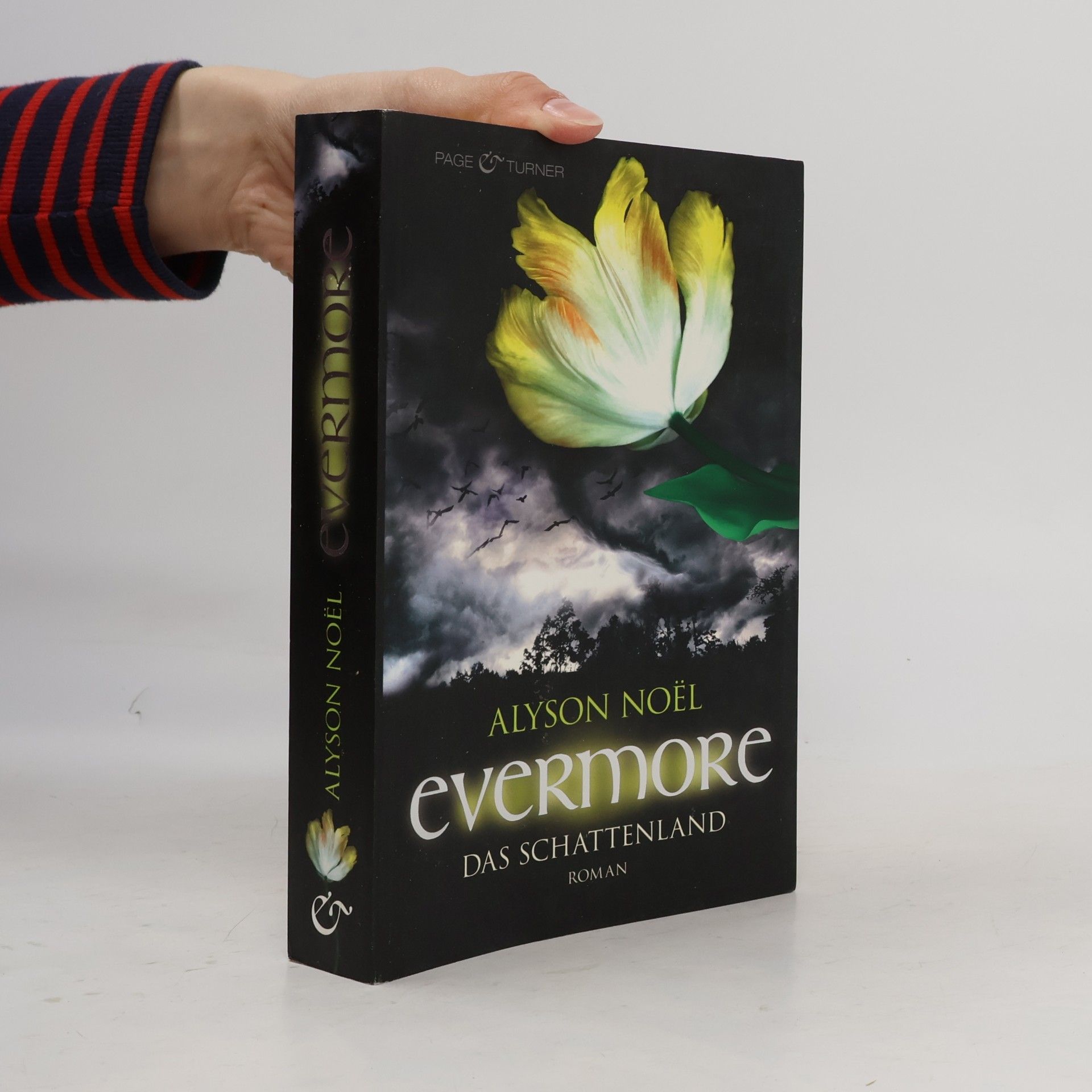 Evermore: Das Schattenland