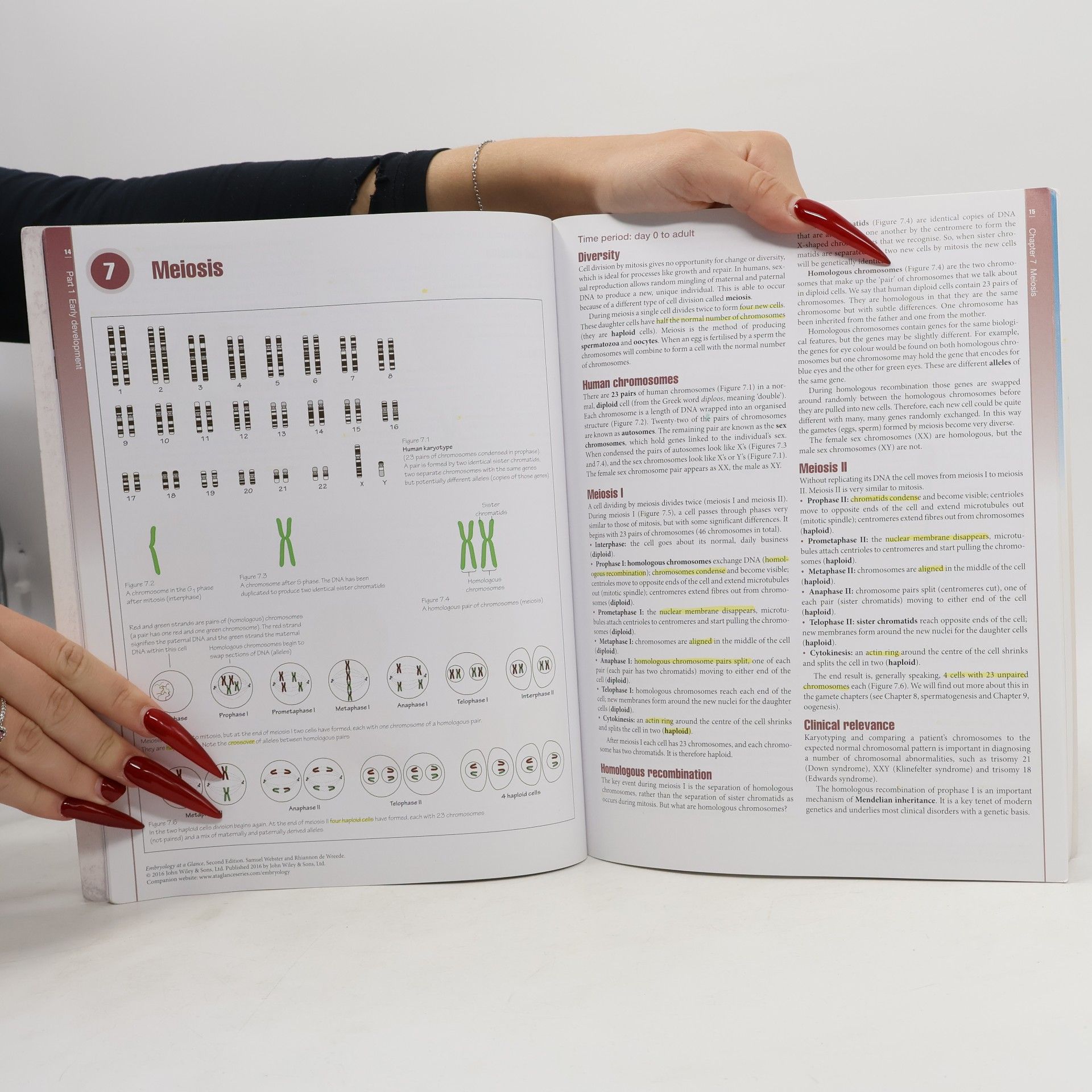 Samuel Webster Embryology at a Glance - Second Edition