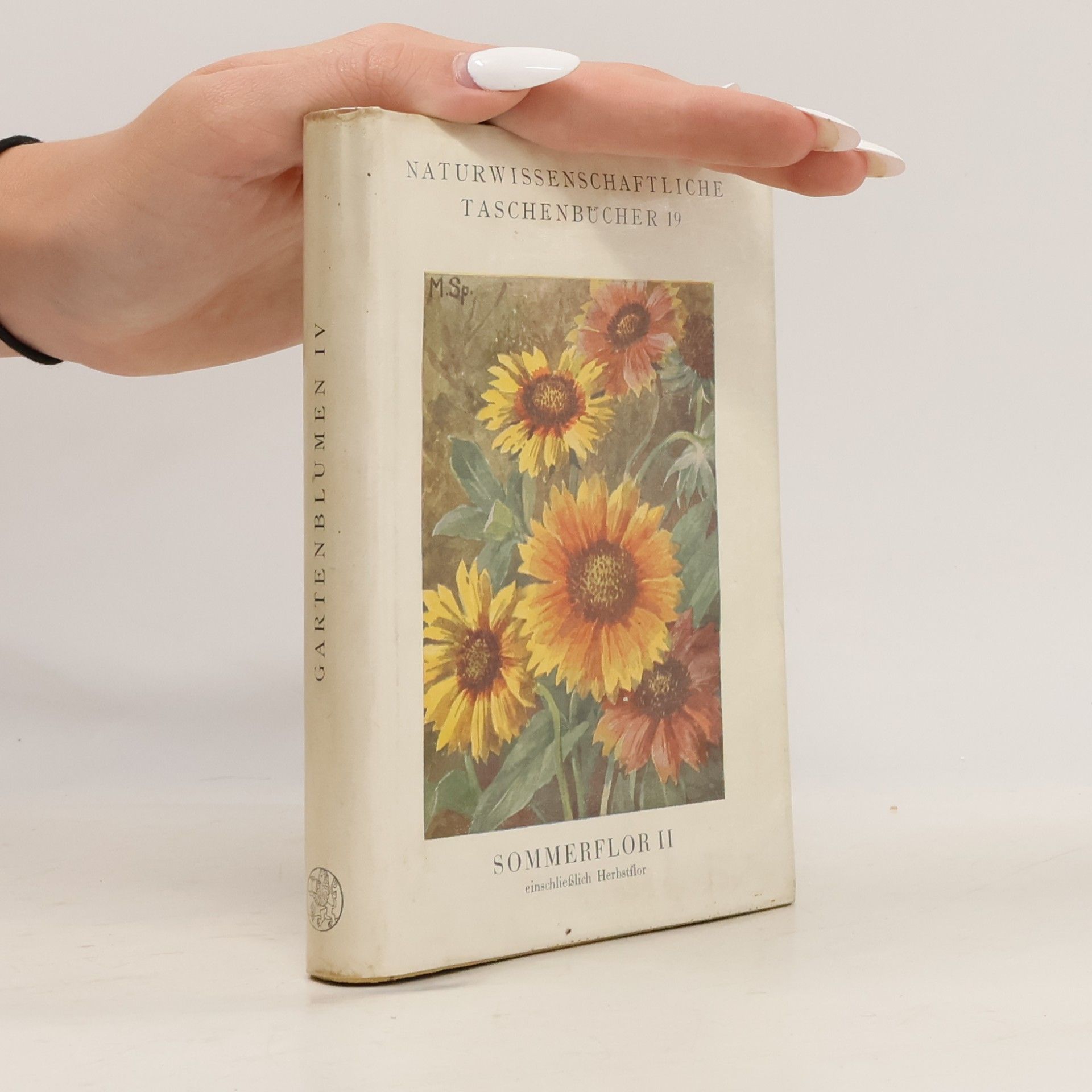 Werner Rauh Sommerflor II