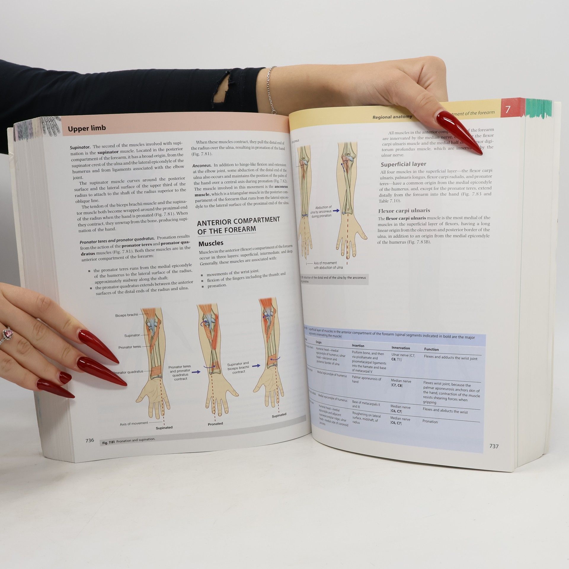 Richard L. Drake Gray's Anatomy for Students