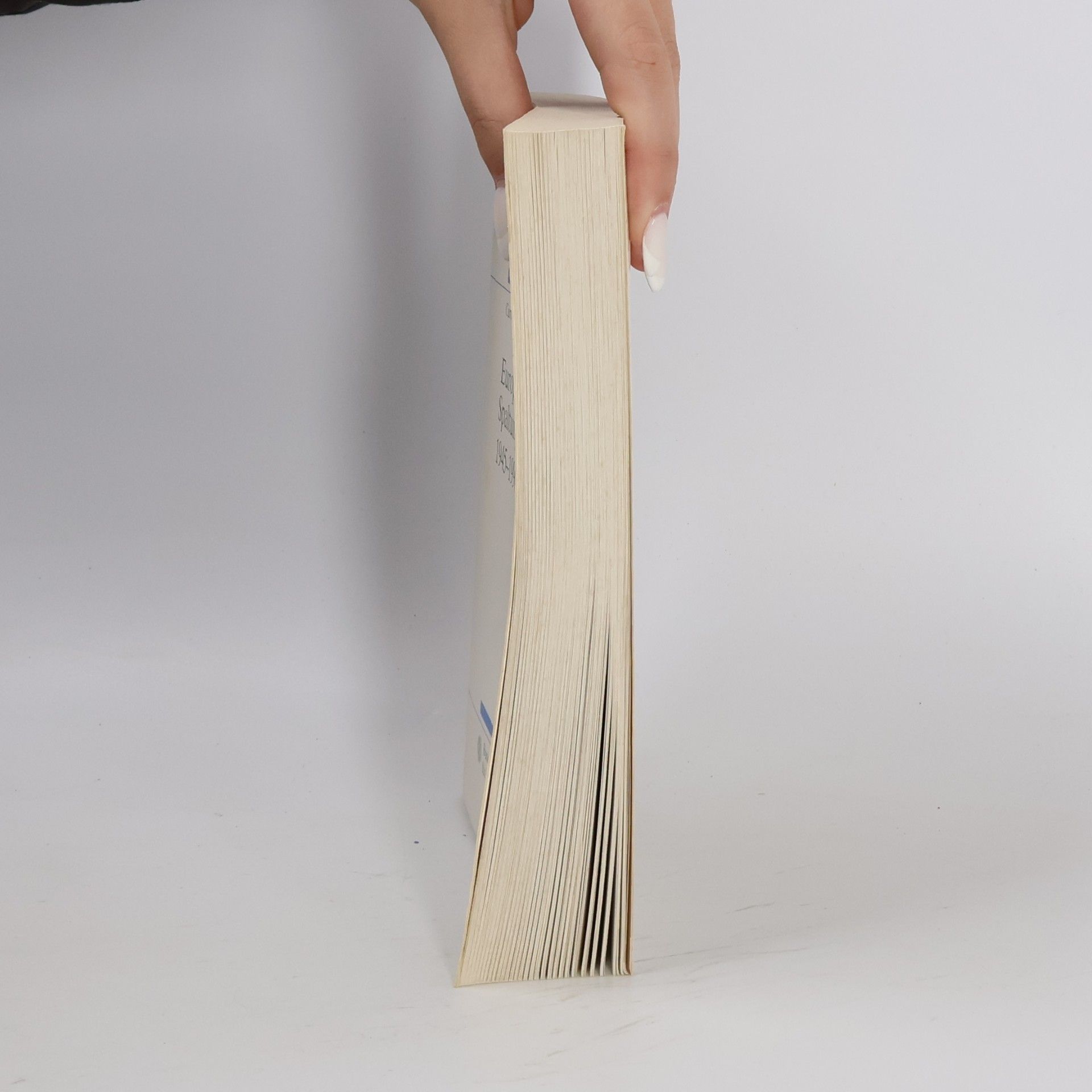Curt Gasteyger Schriftenreihe - 285: Europa zwischen Spaltung und Einigung 1945 - 1990