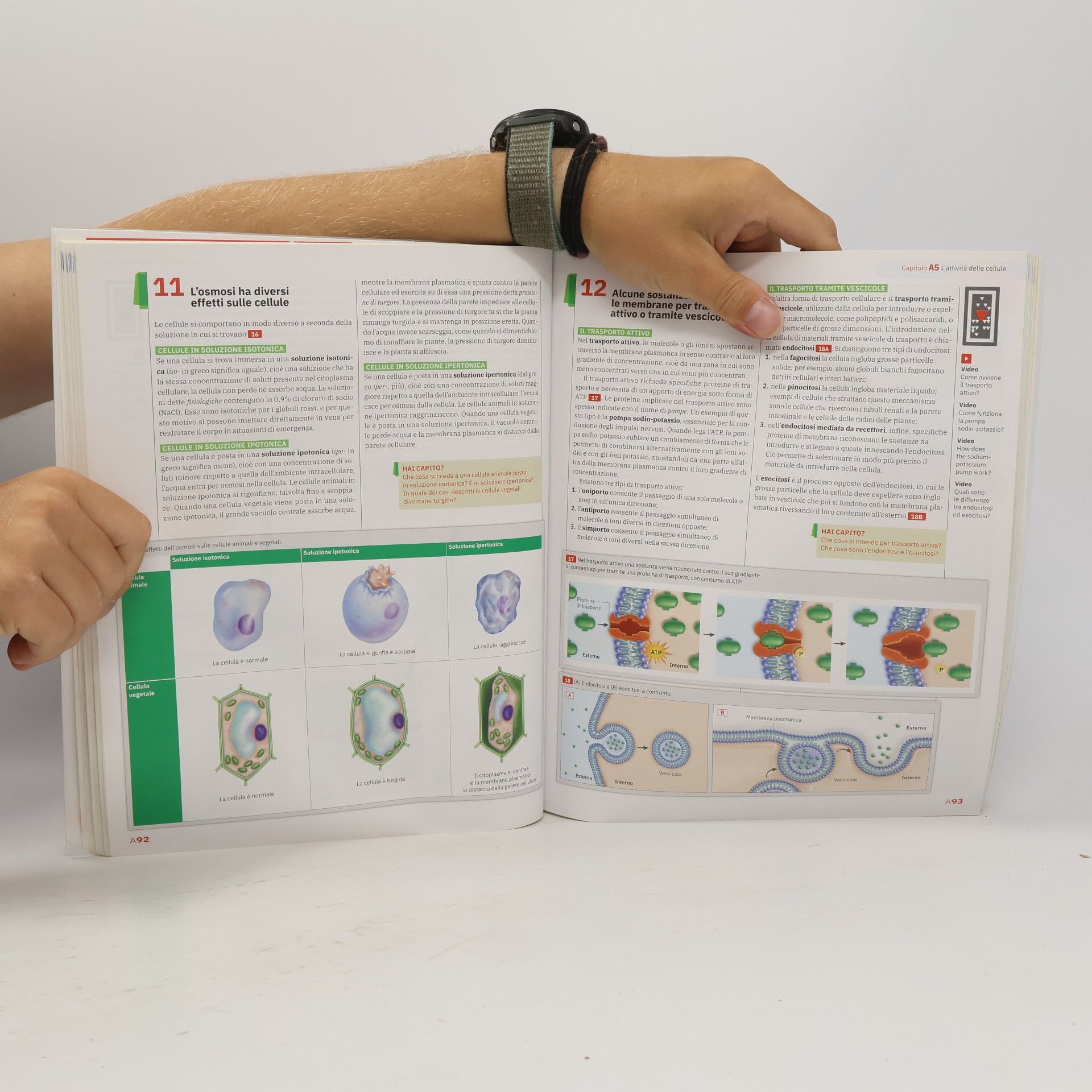 Sylvia S. Mader Immagini e concetti della biologia