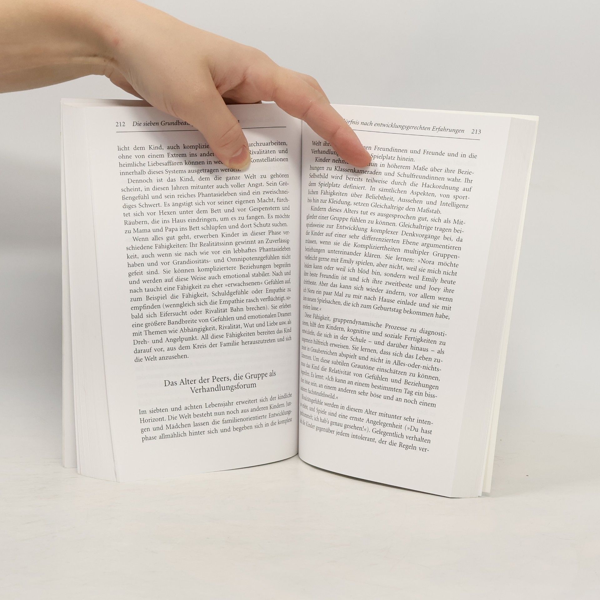 Thomas Berry Brazelton Beltz Taschenbuch - 188: Die sieben Grundbedürfnisse von Kindern