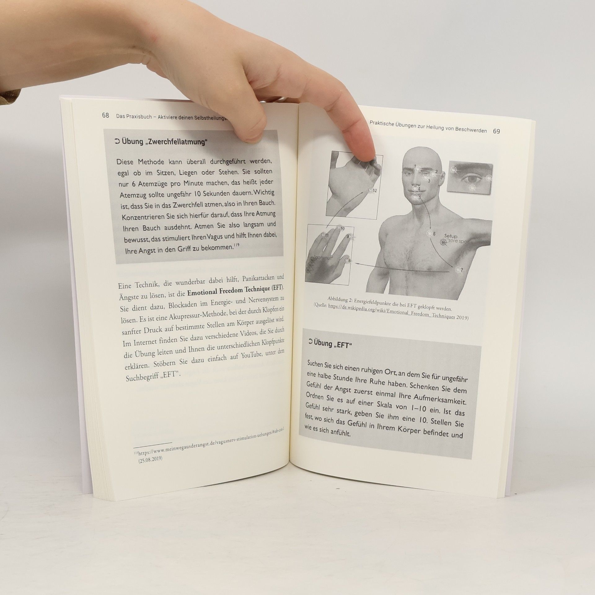 Phillip Steiner Das Praxisbuch. Aktiviere Deinen Selbstheilungsnerv