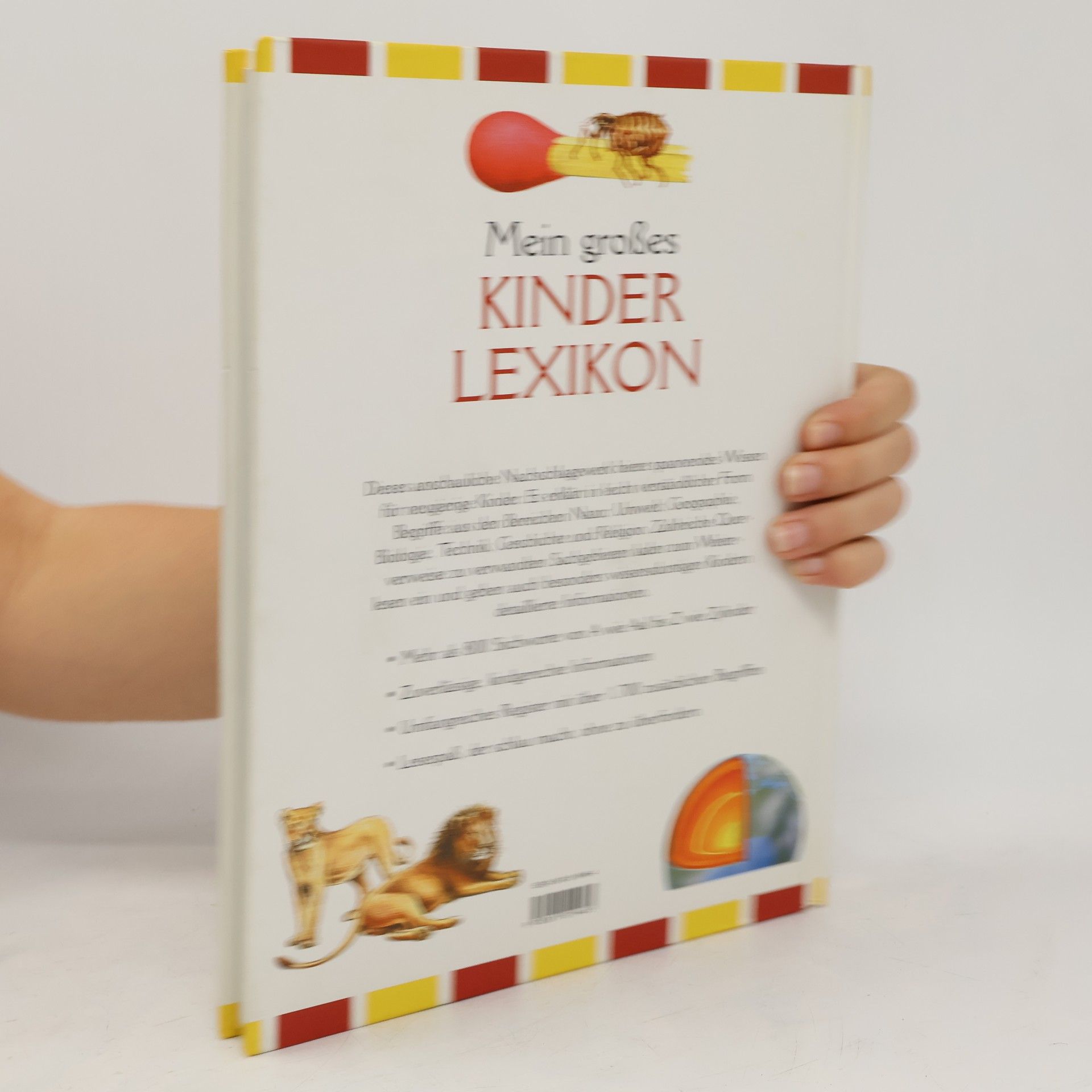 Norbert Landa Mein großes Kinderlexikon