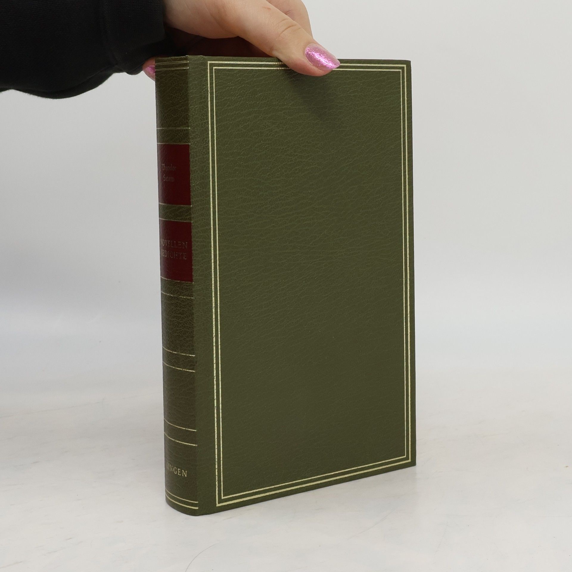 Theodor Storm Novellen. Gedichte