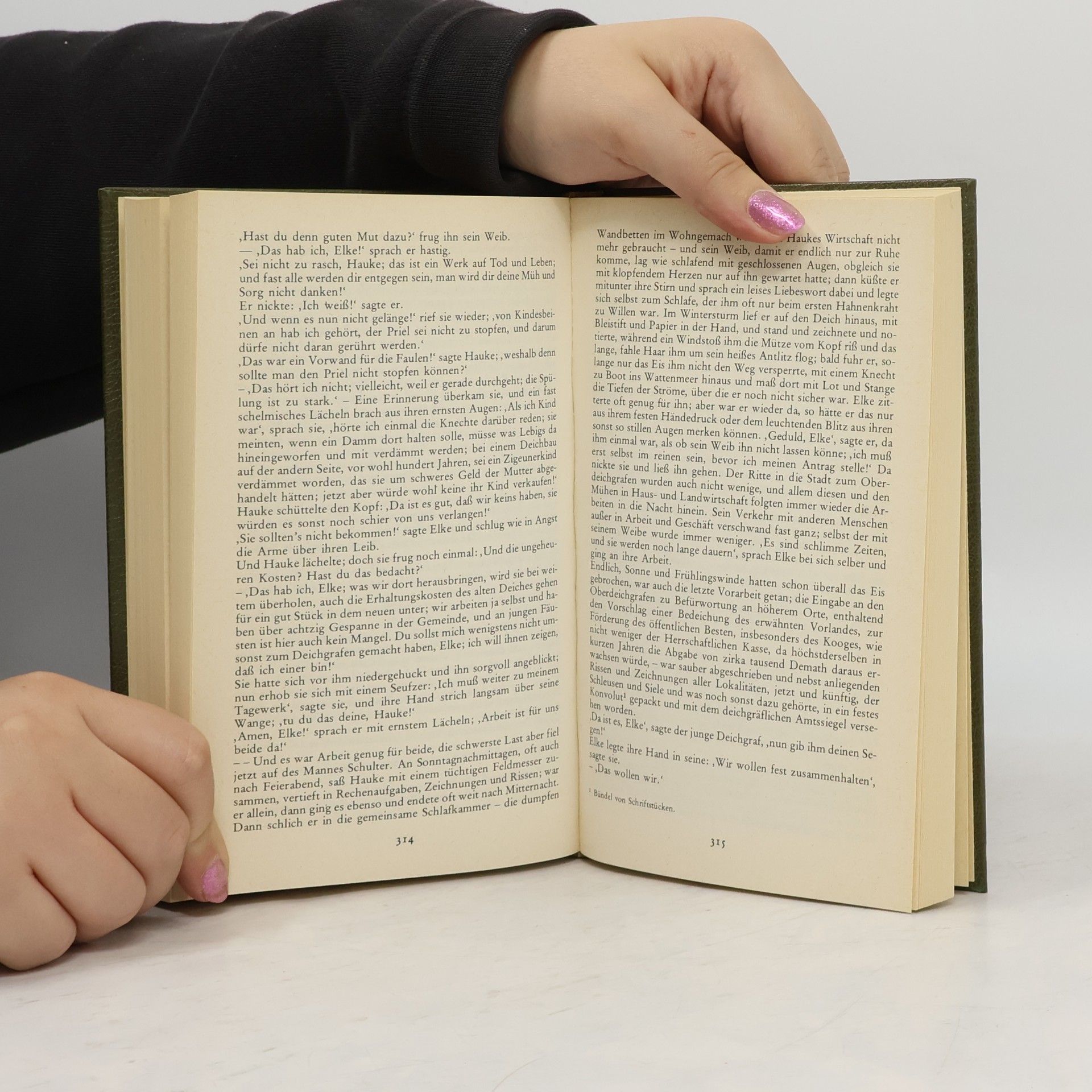 Theodor Storm Novellen. Gedichte