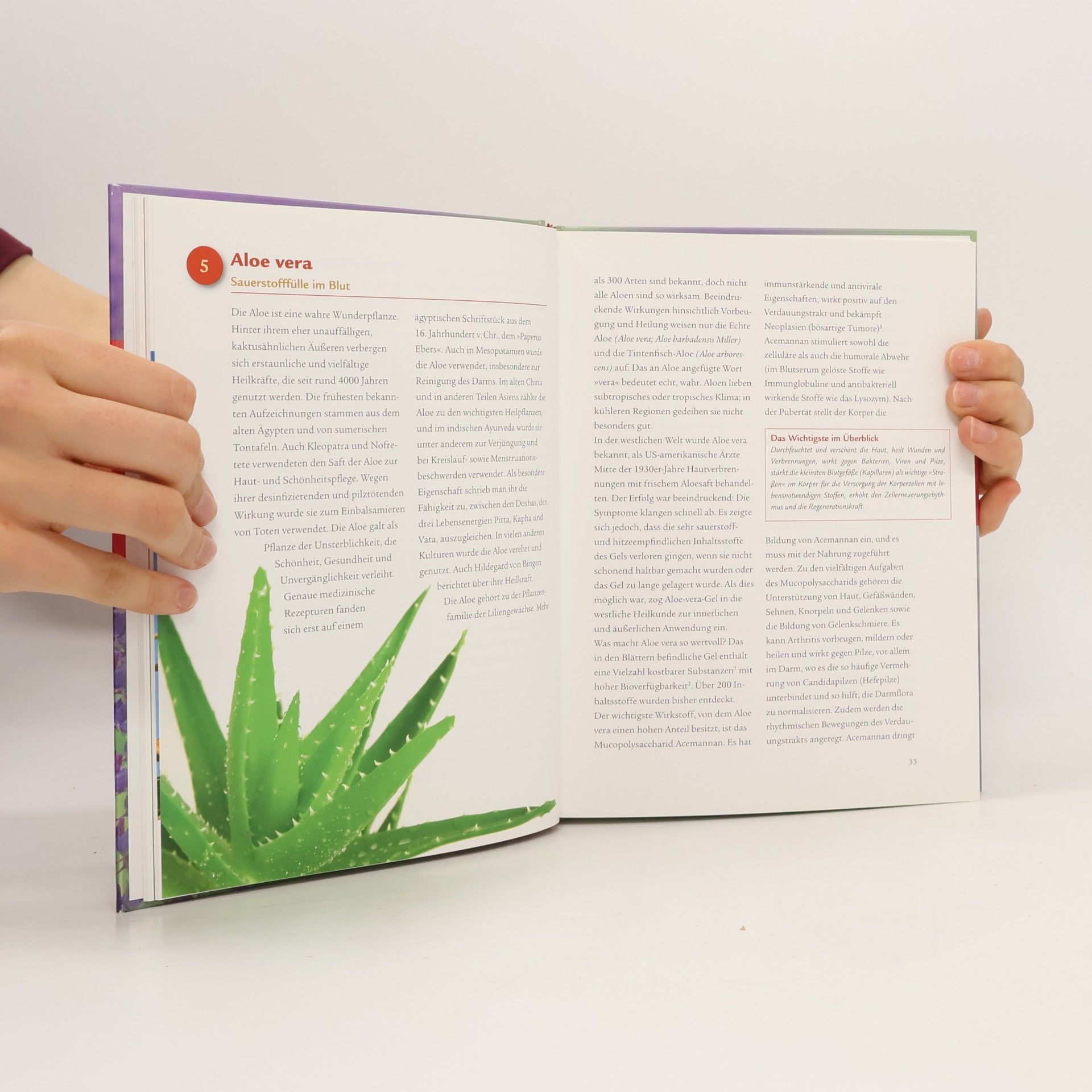 Brigitte Hamann Die 50 besten Superfoods
